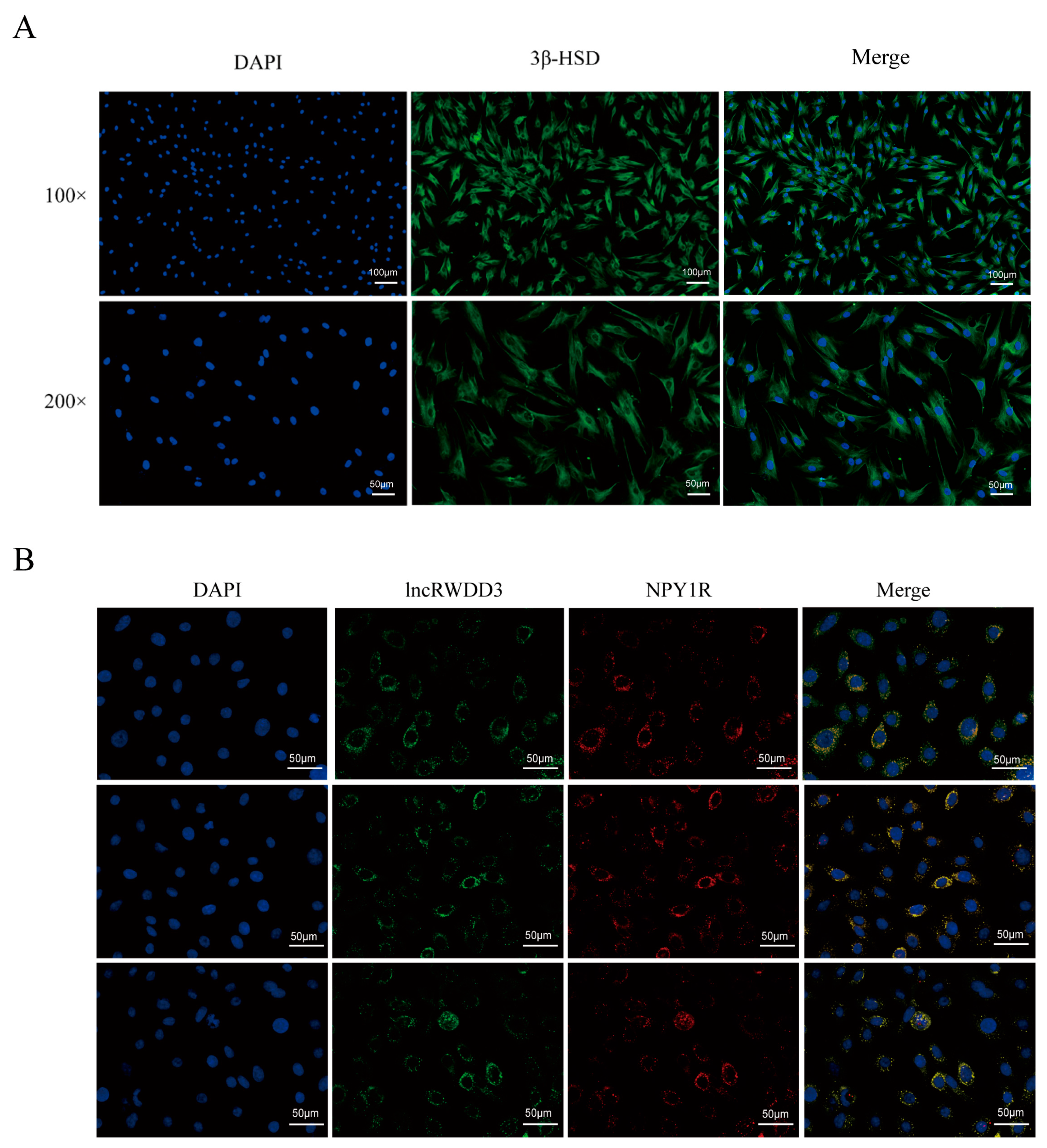 Animals 15 01884 g002