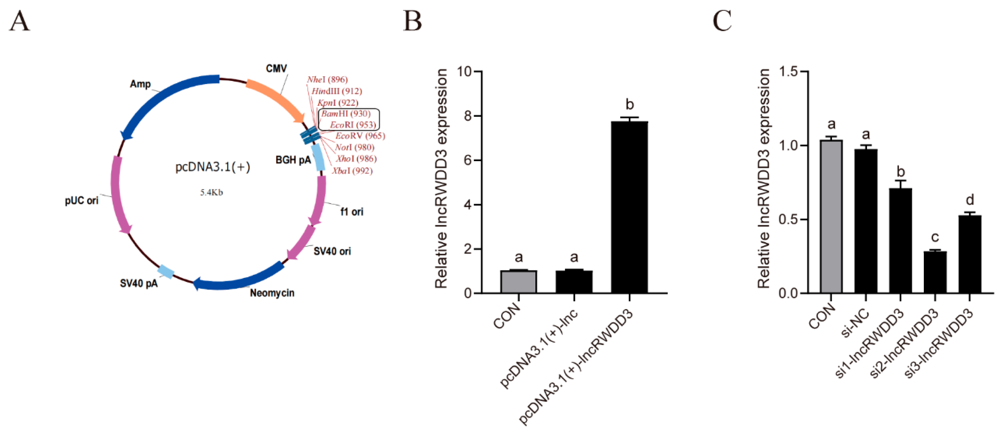 Animals 15 01884 g004