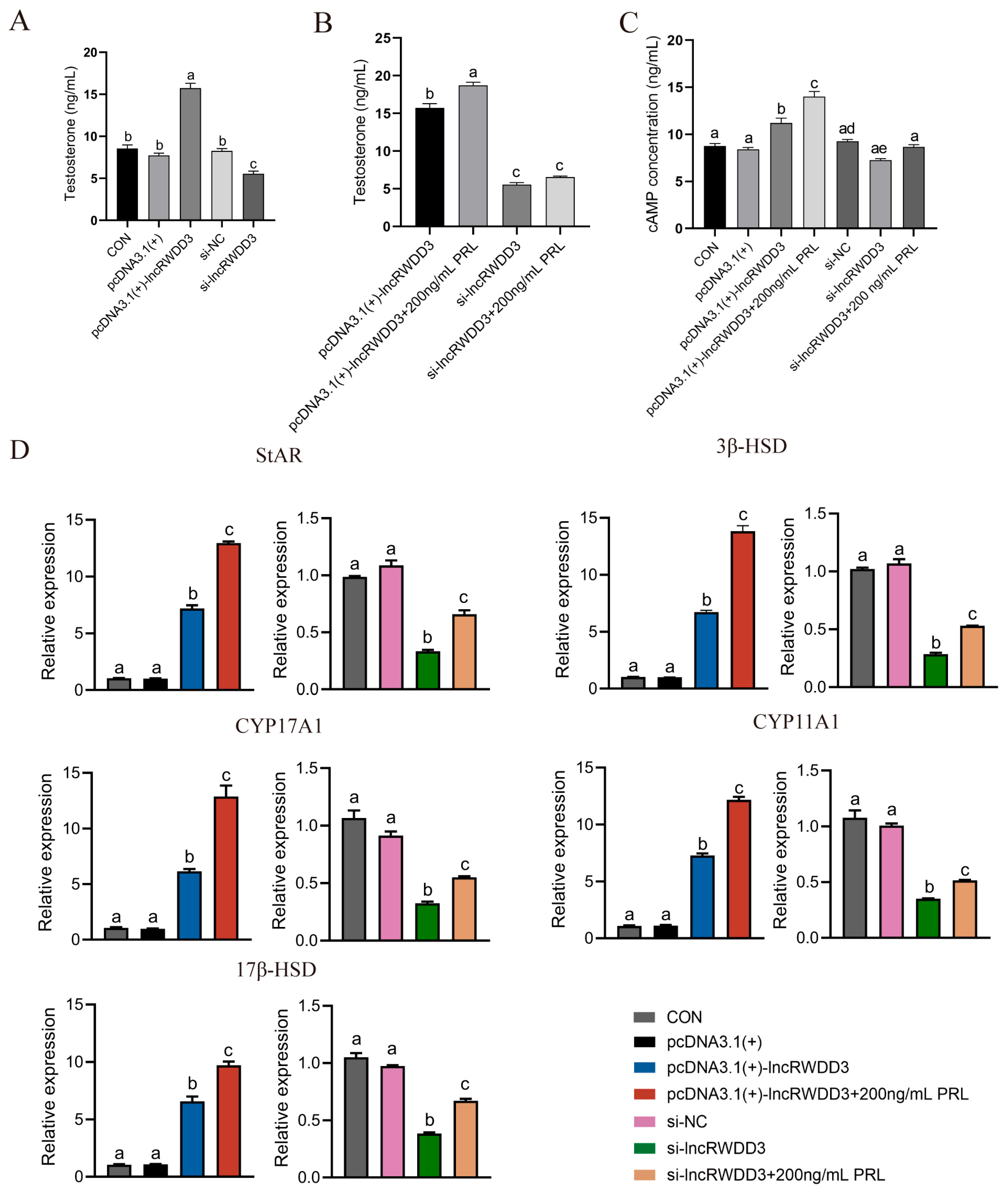 Animals 15 01884 g005