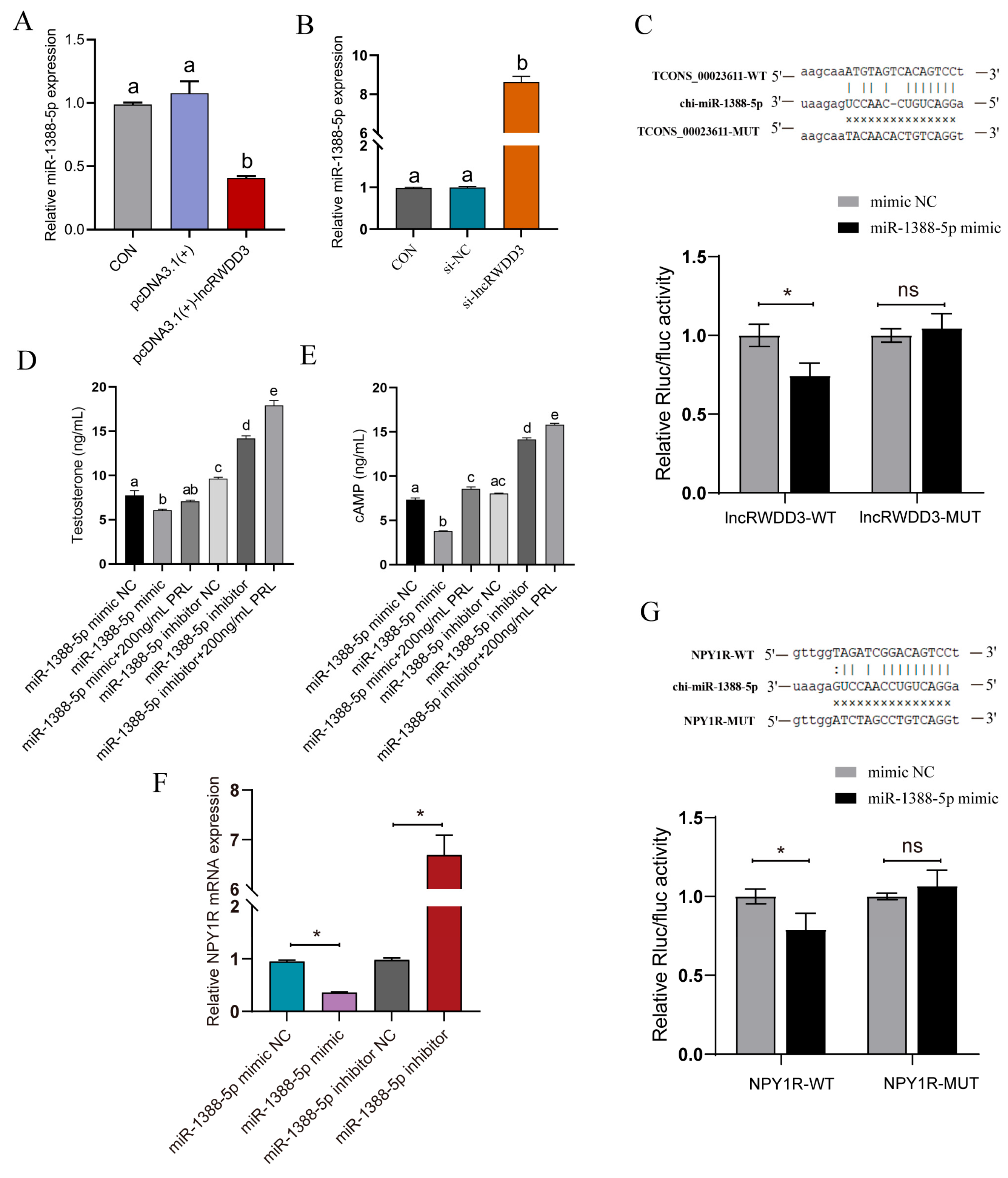 Animals 15 01884 g006