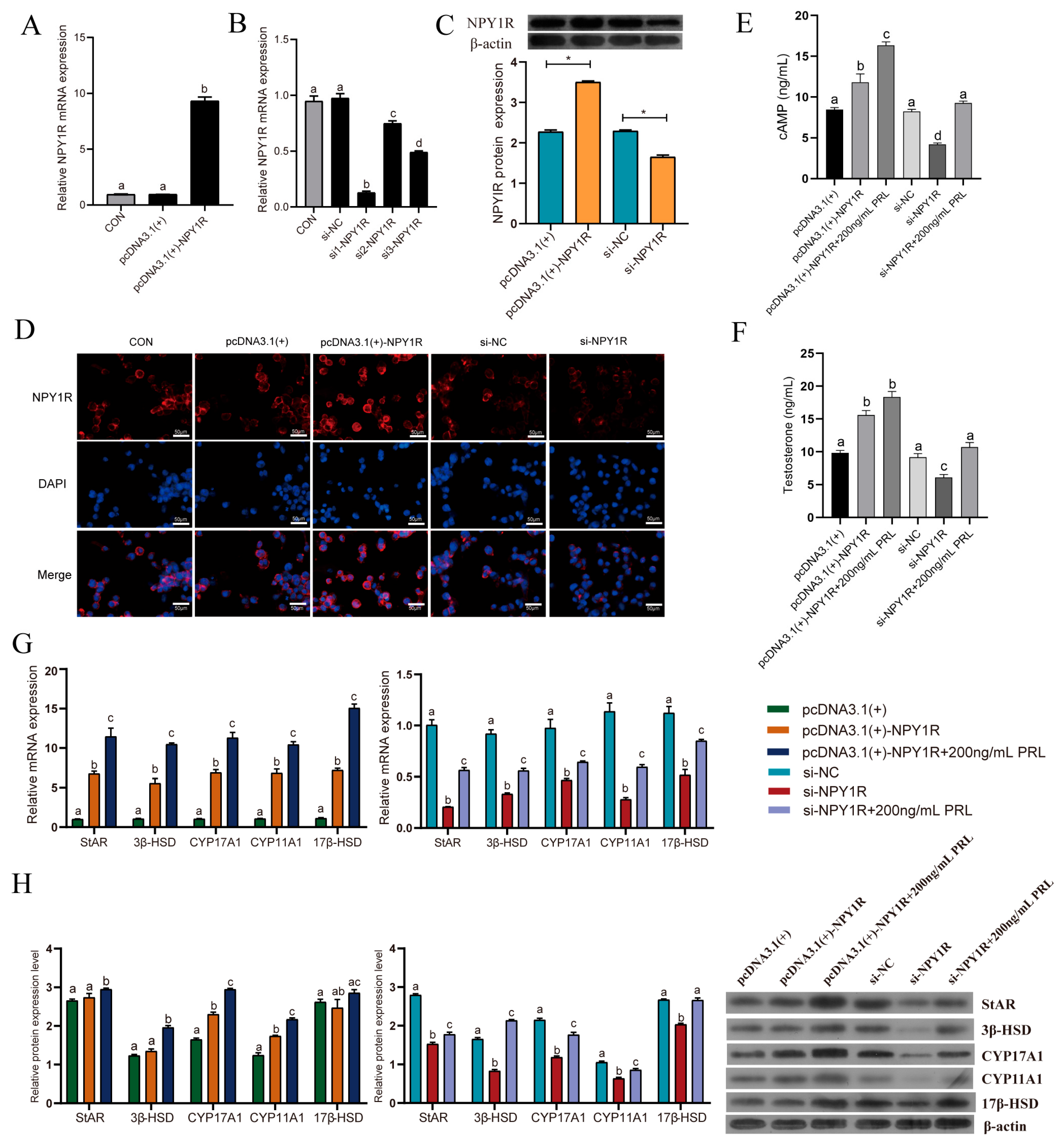 Animals 15 01884 g007