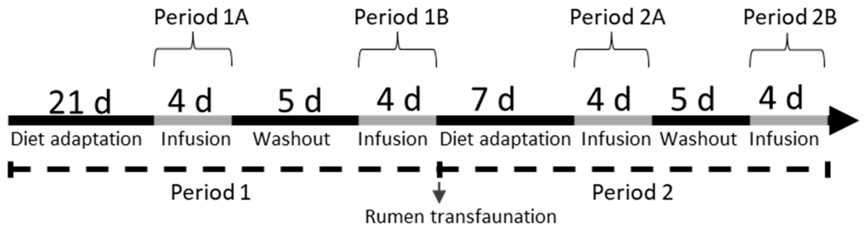 Animals 15 01931 g001