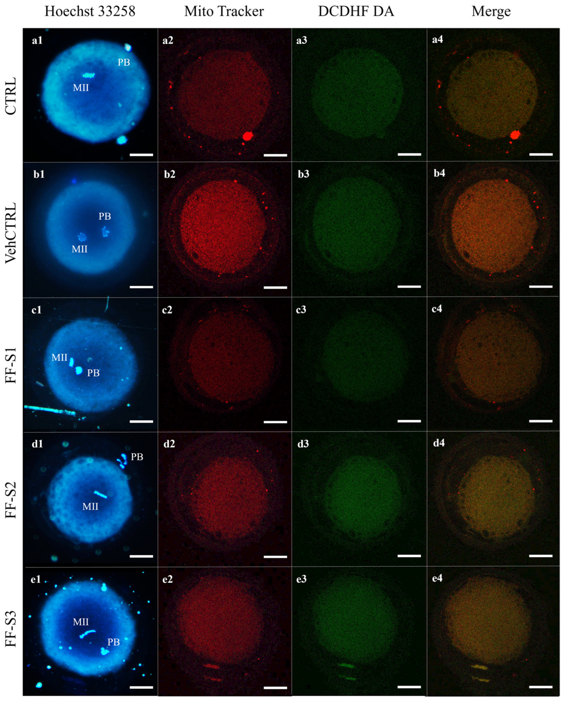 Animals 15 01951 g002