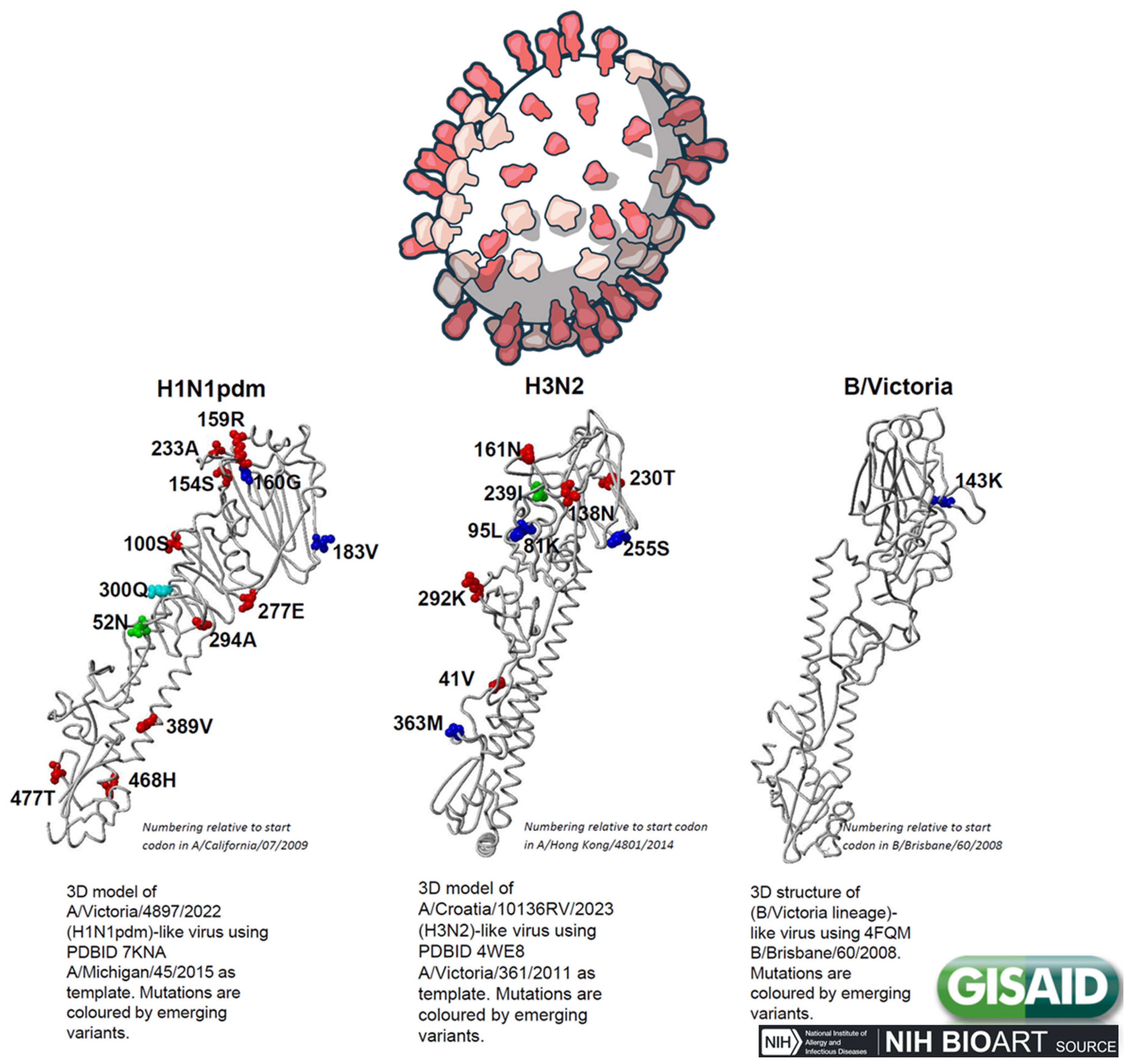 Animals 15 01963 g005