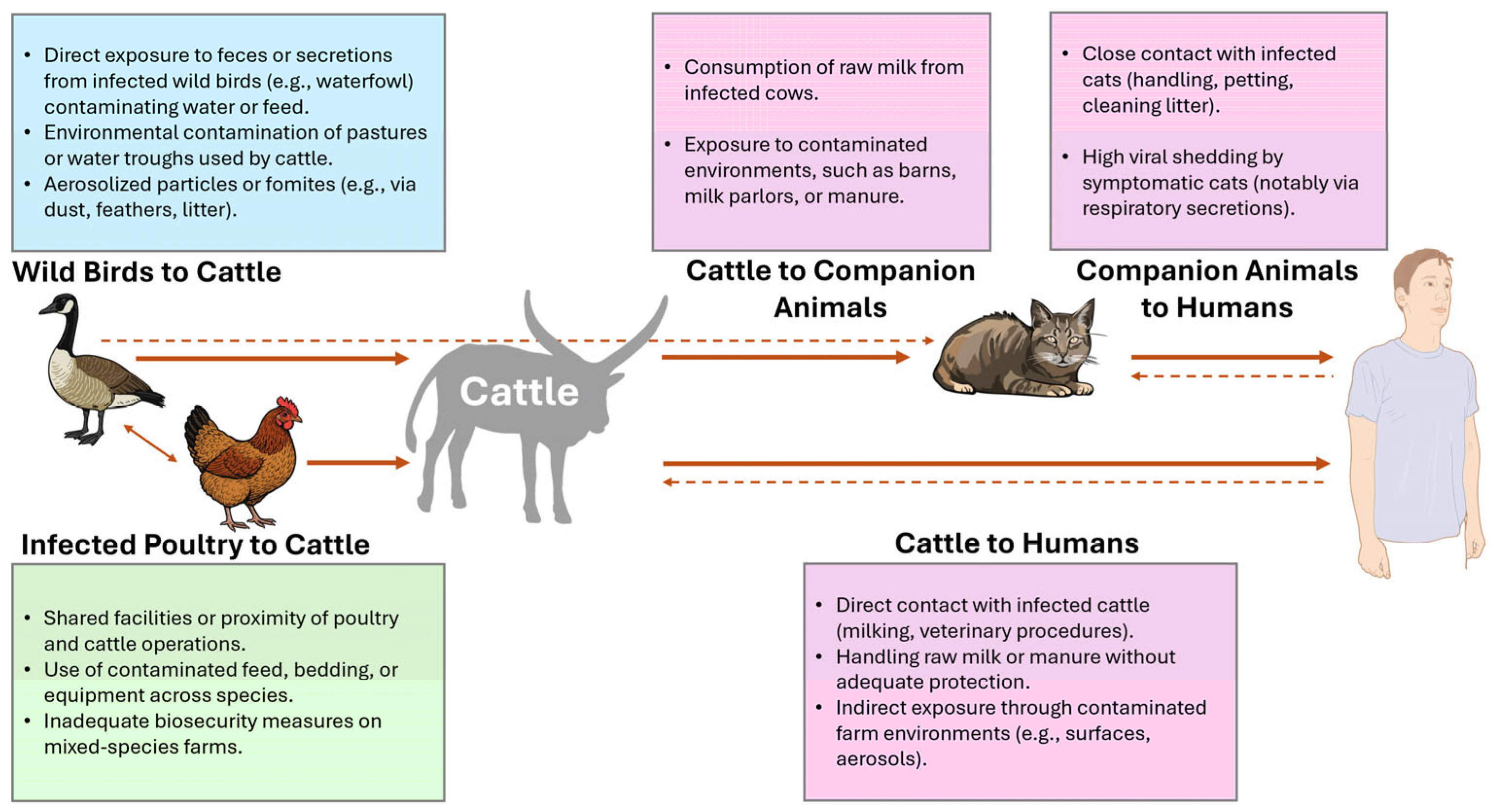 Animals 15 01963 g007