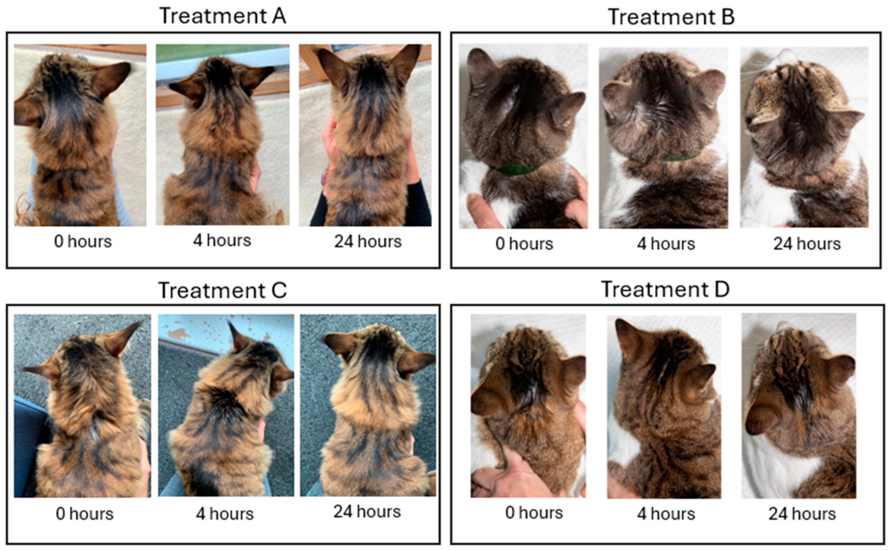 Animals 15 01985 g003