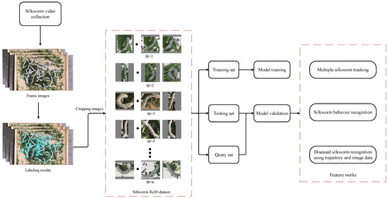 Animals 15 02011 g001