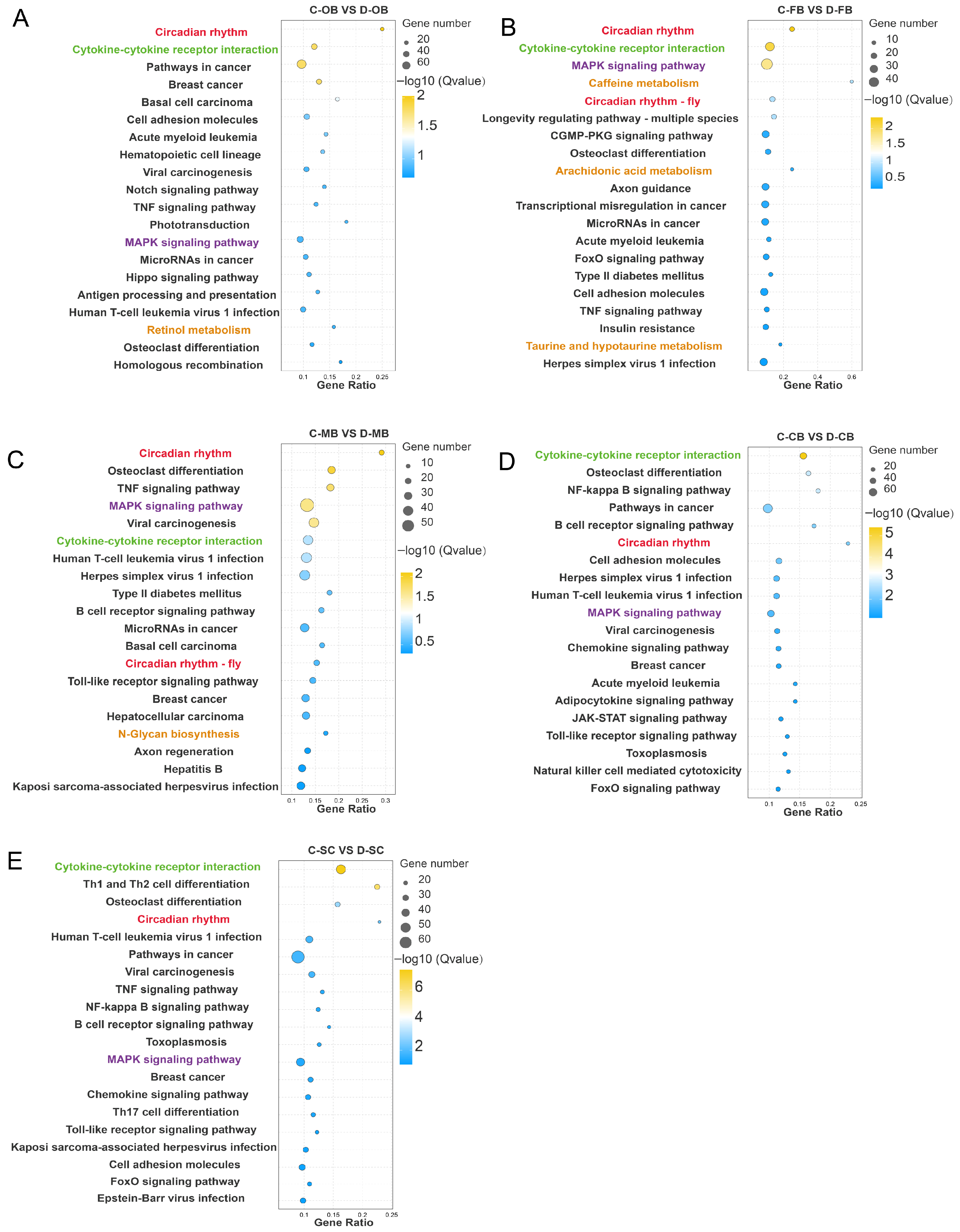 Animals 15 02107 g003