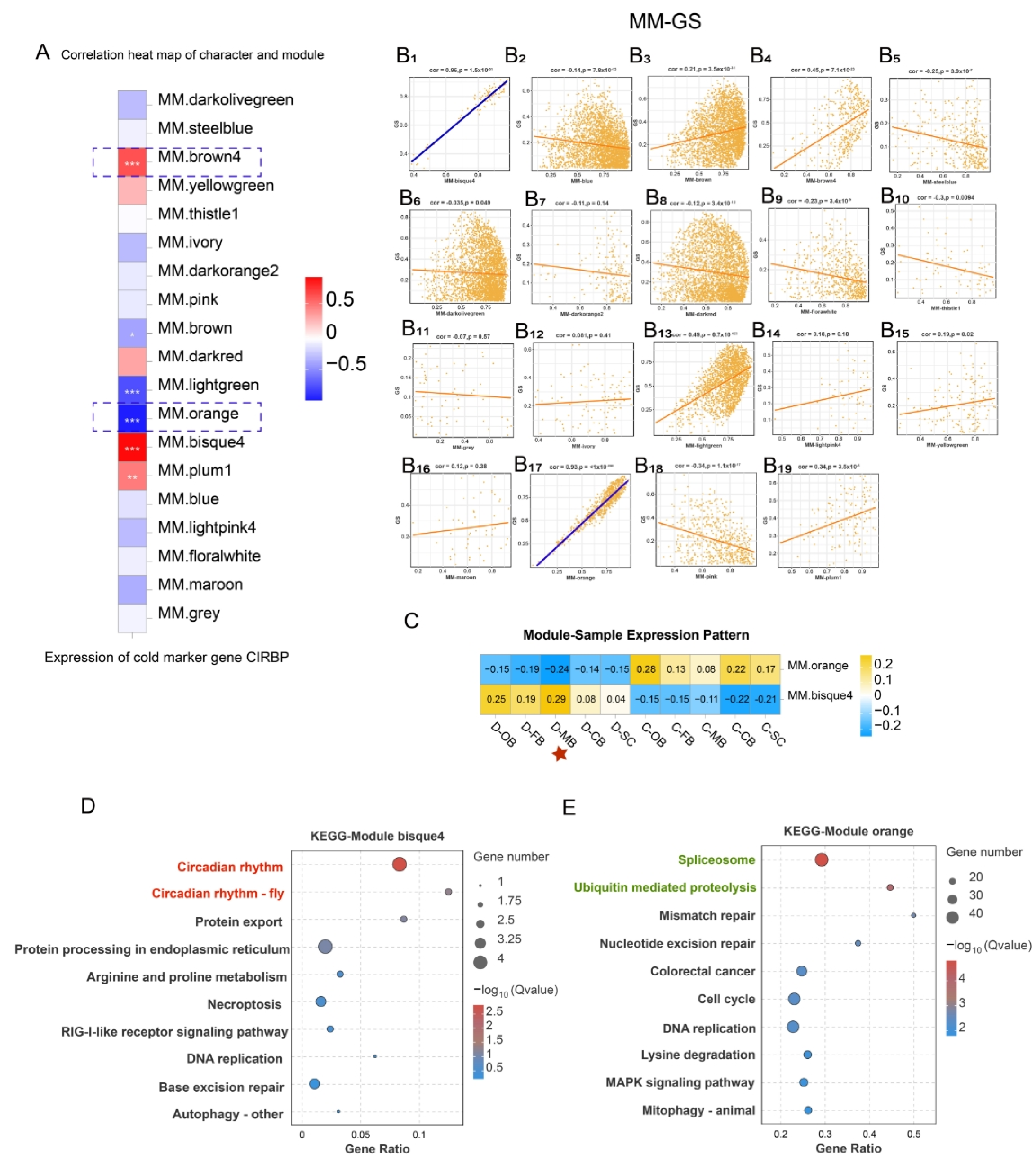 Animals 15 02107 g005