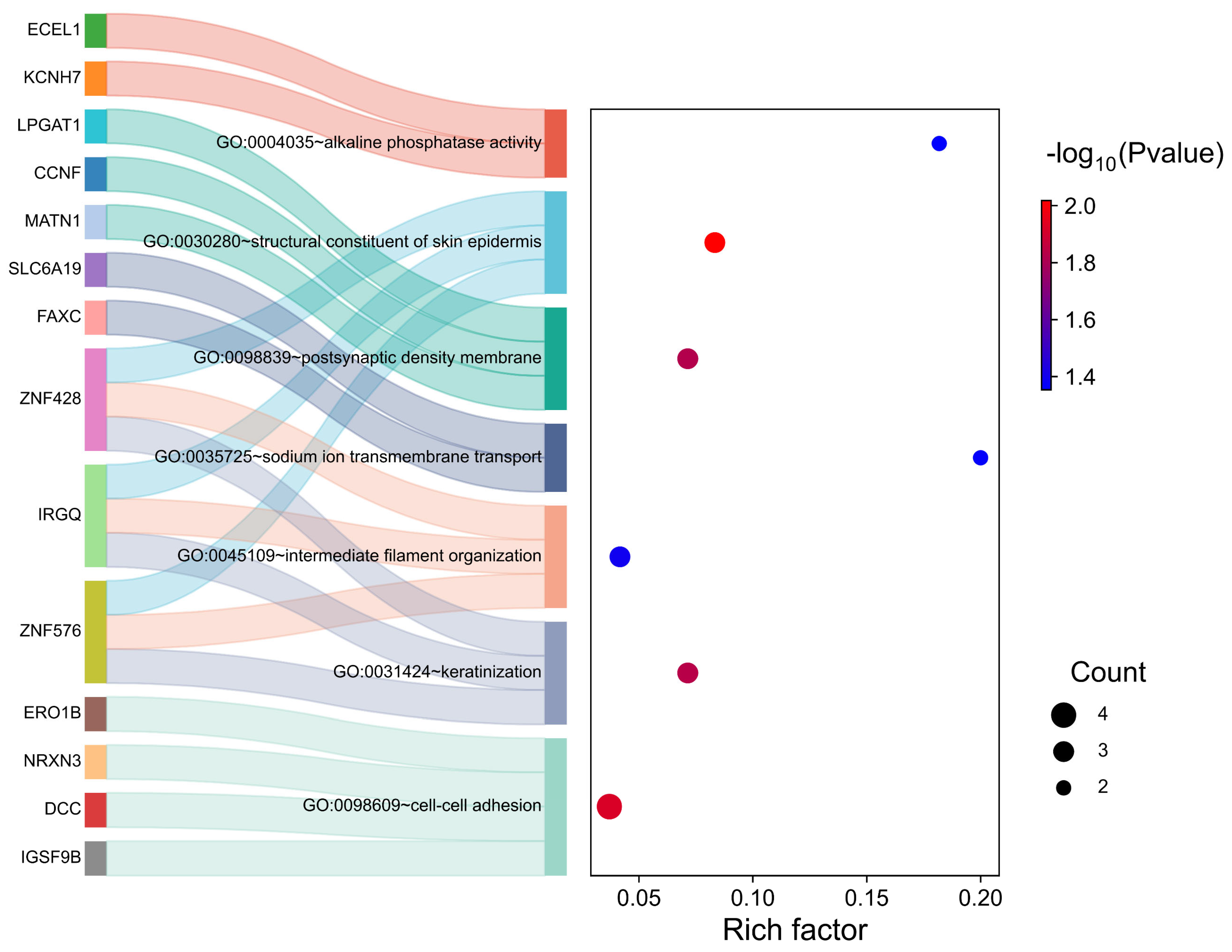 Animals 15 02114 g006