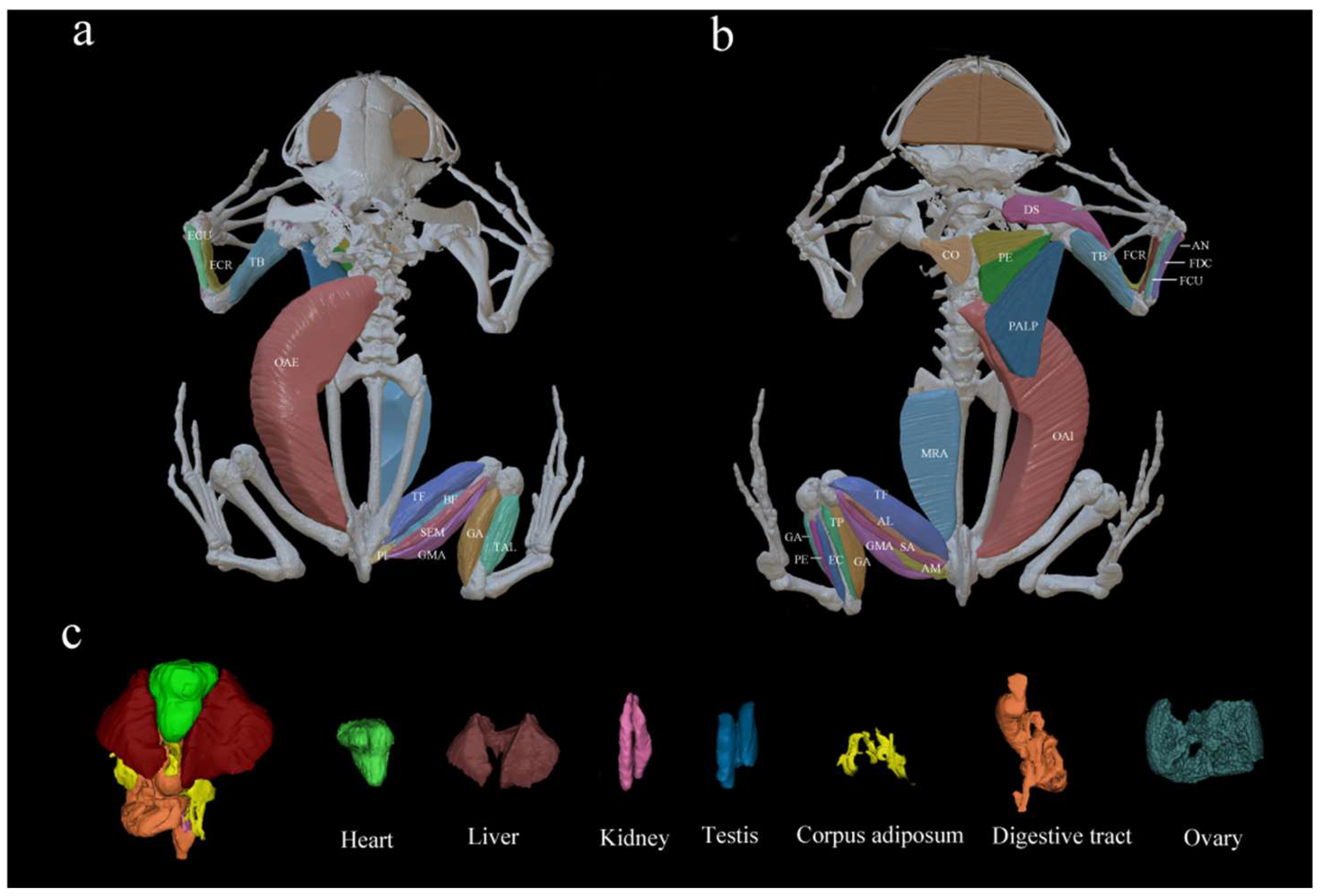 Animals 15 02118 g002