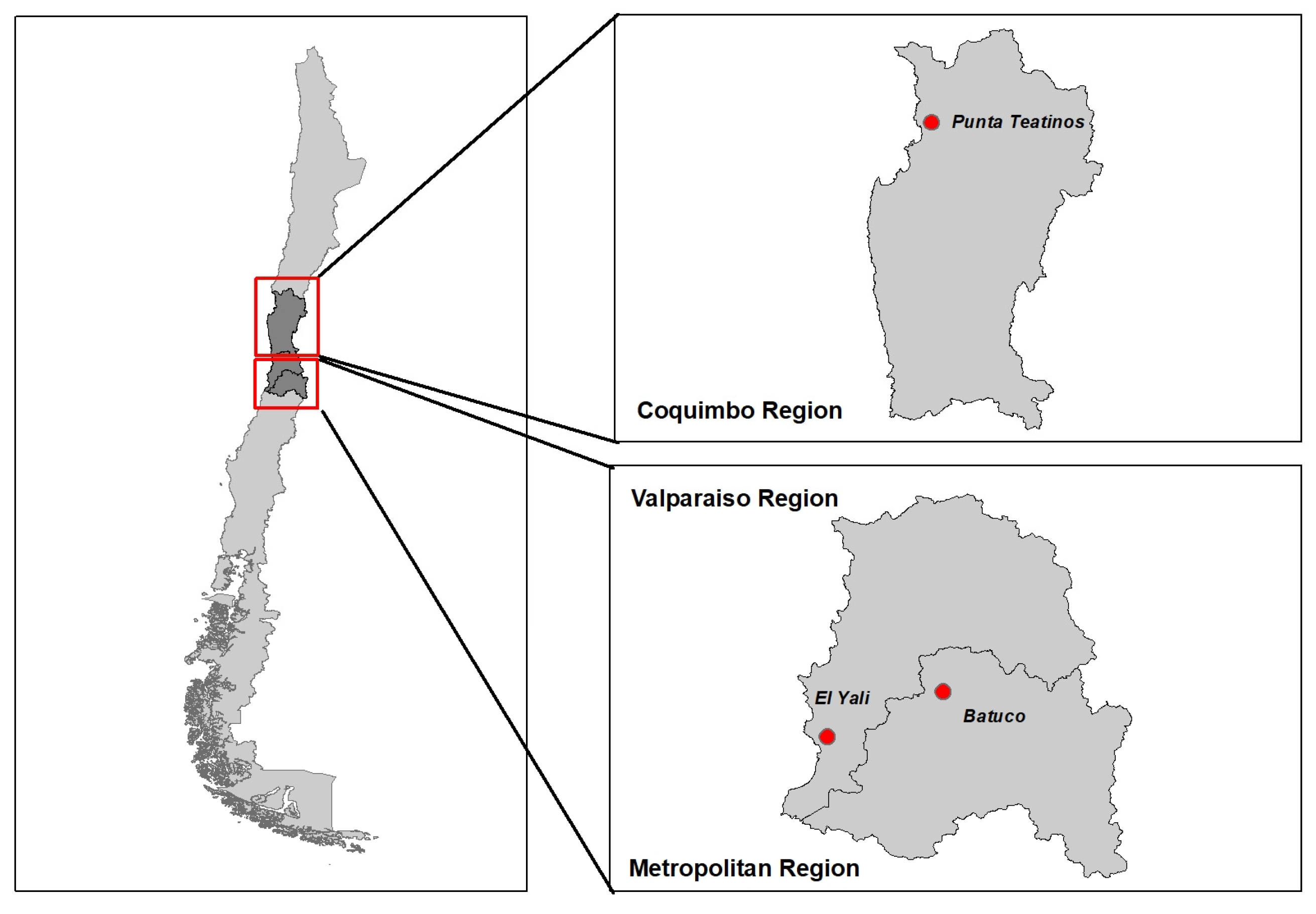 Animals 15 02364 g001