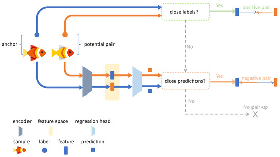 Animals 15 02443 g004