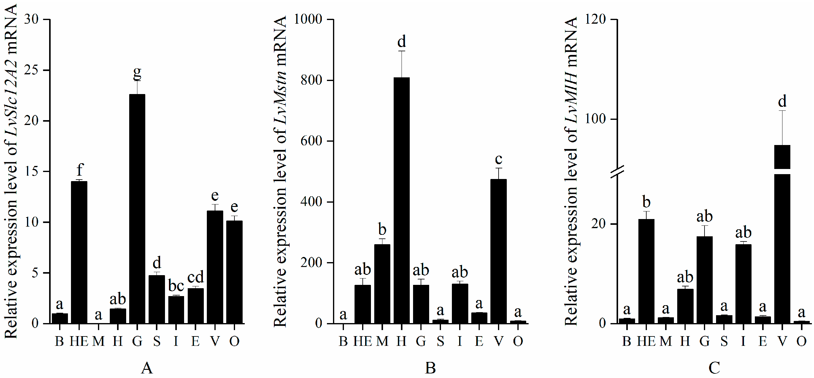 Animals 15 02467 g001