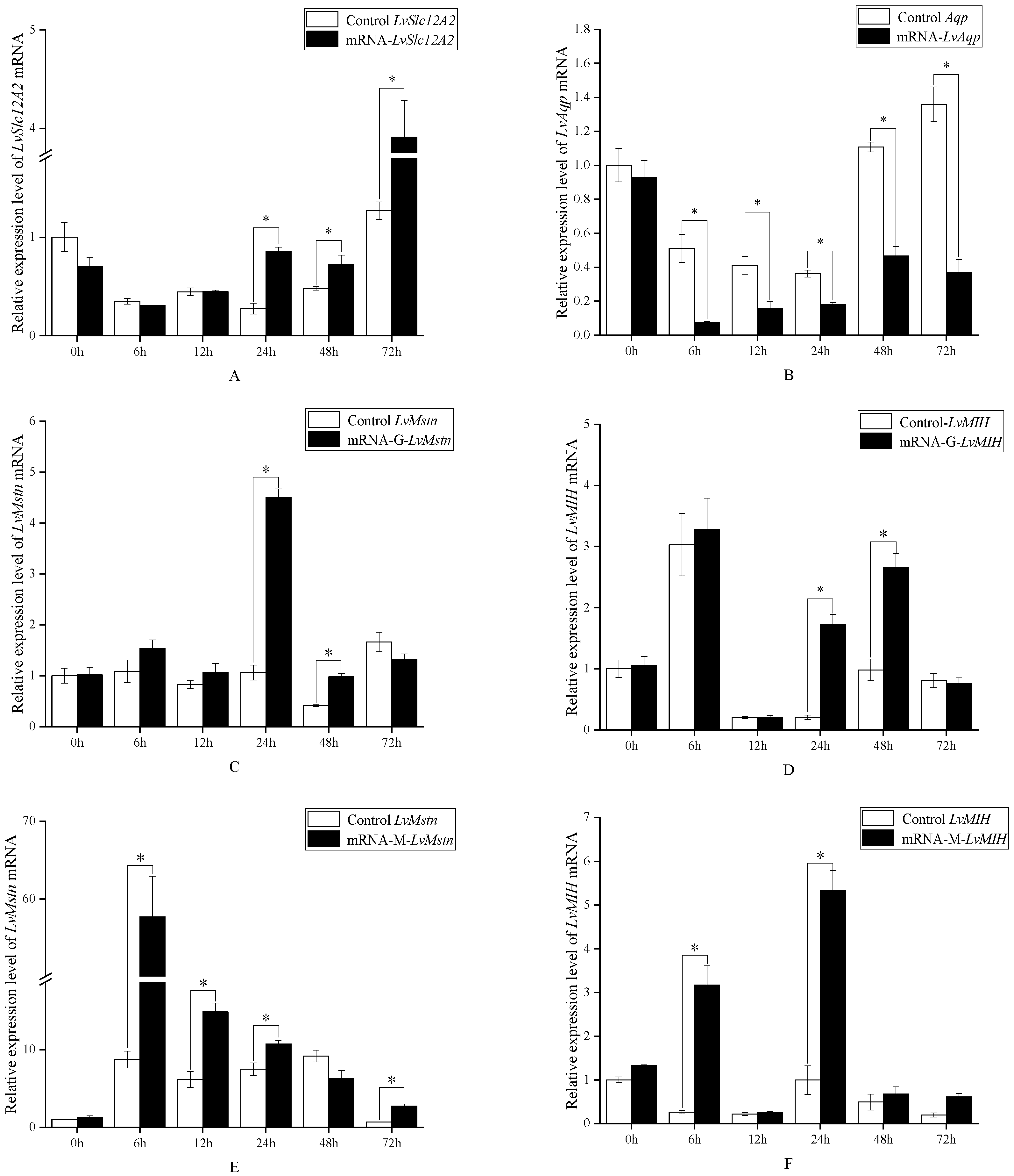 Animals 15 02467 g002