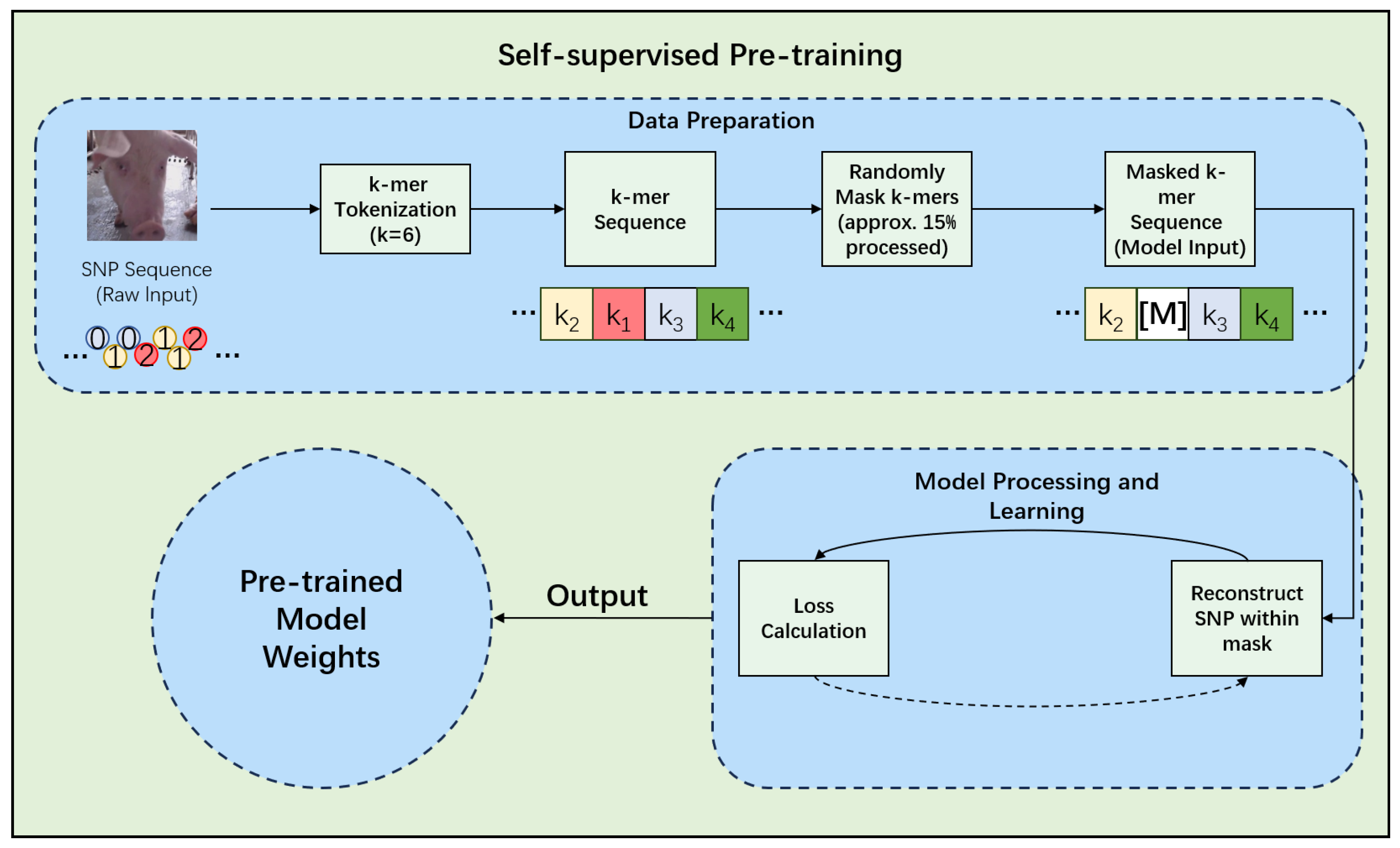 Animals 15 02485 g003