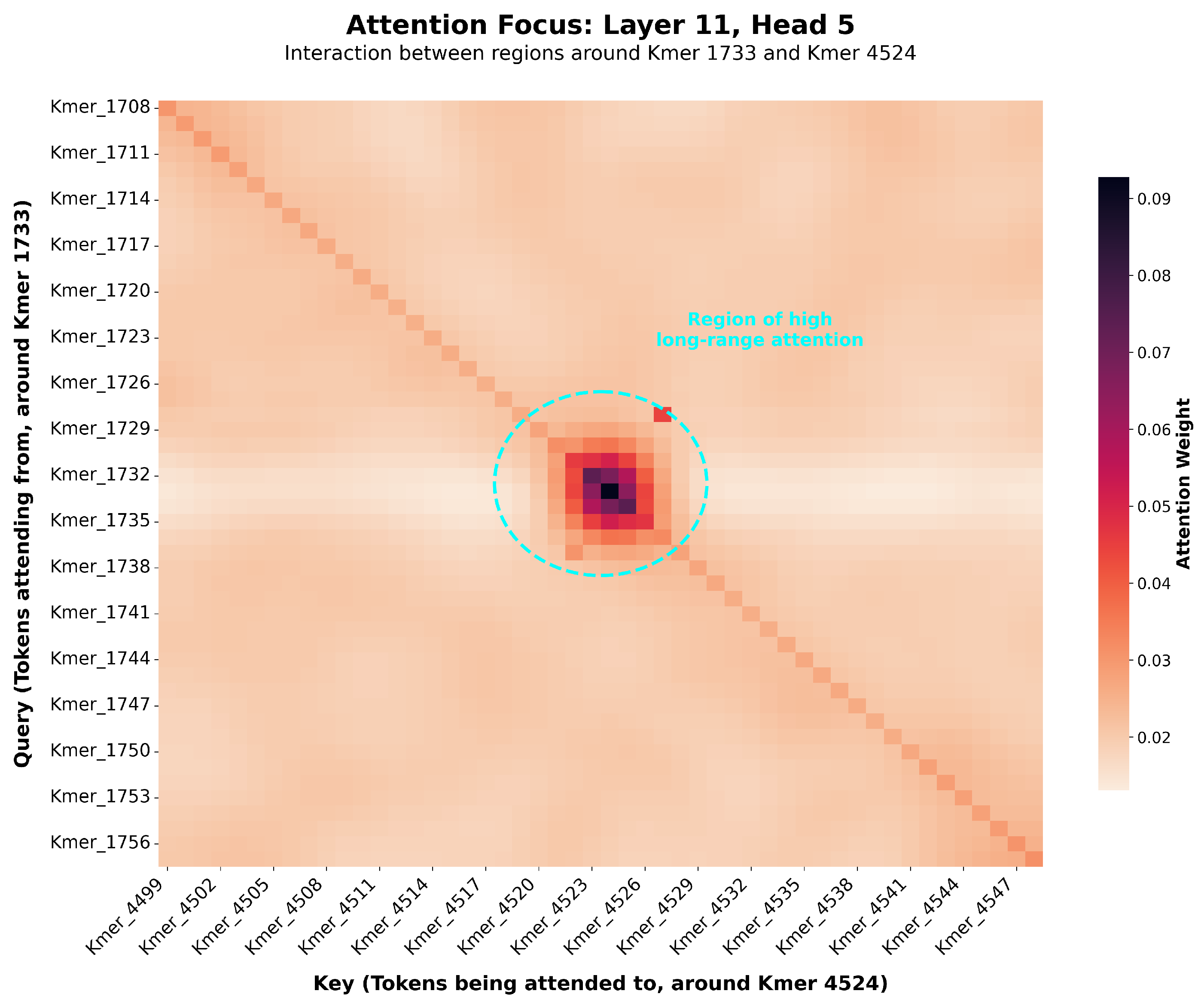 Animals 15 02485 g007