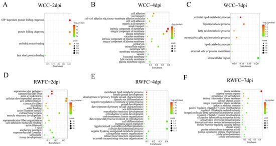 Animals 15 02533 g0a1