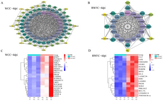Animals 15 02533 g0a2