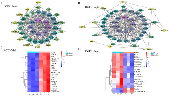 Animals 15 02533 g0a3