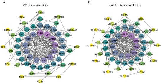 Animals 15 02533 g0a4
