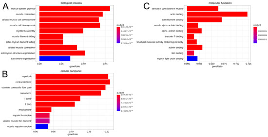 Animals 15 02602 g0a2