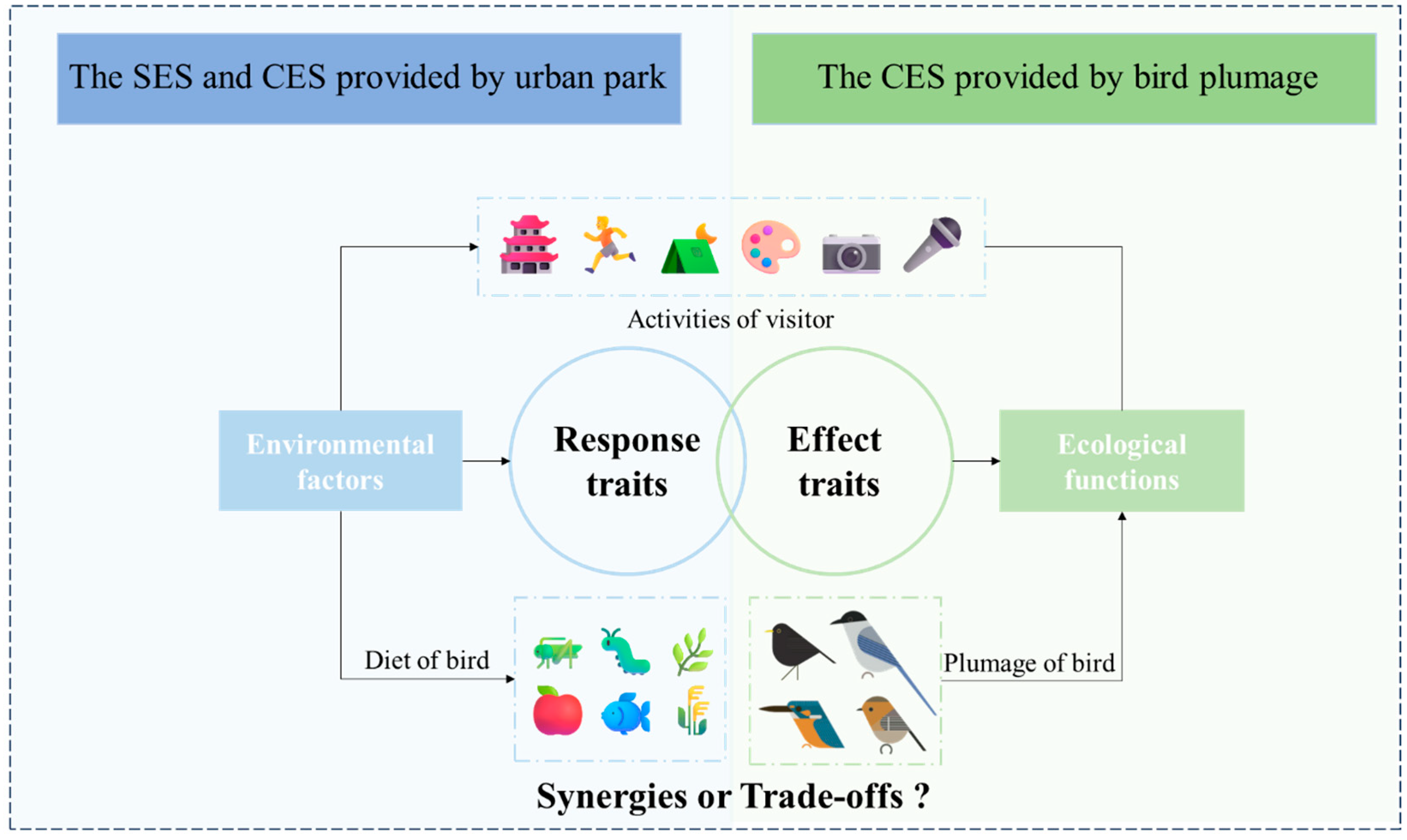 Animals 15 02619 g001