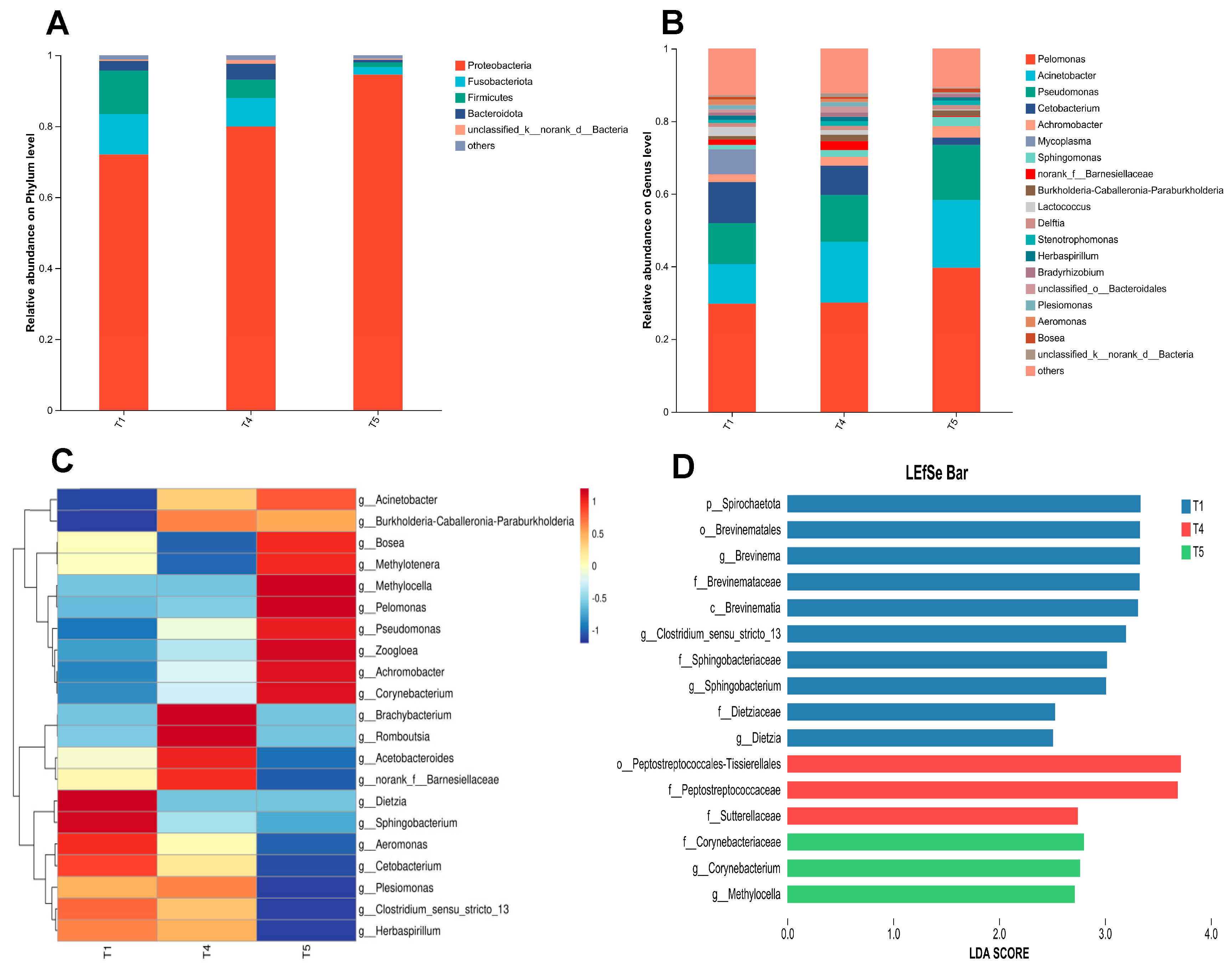 Animals 15 02643 g011