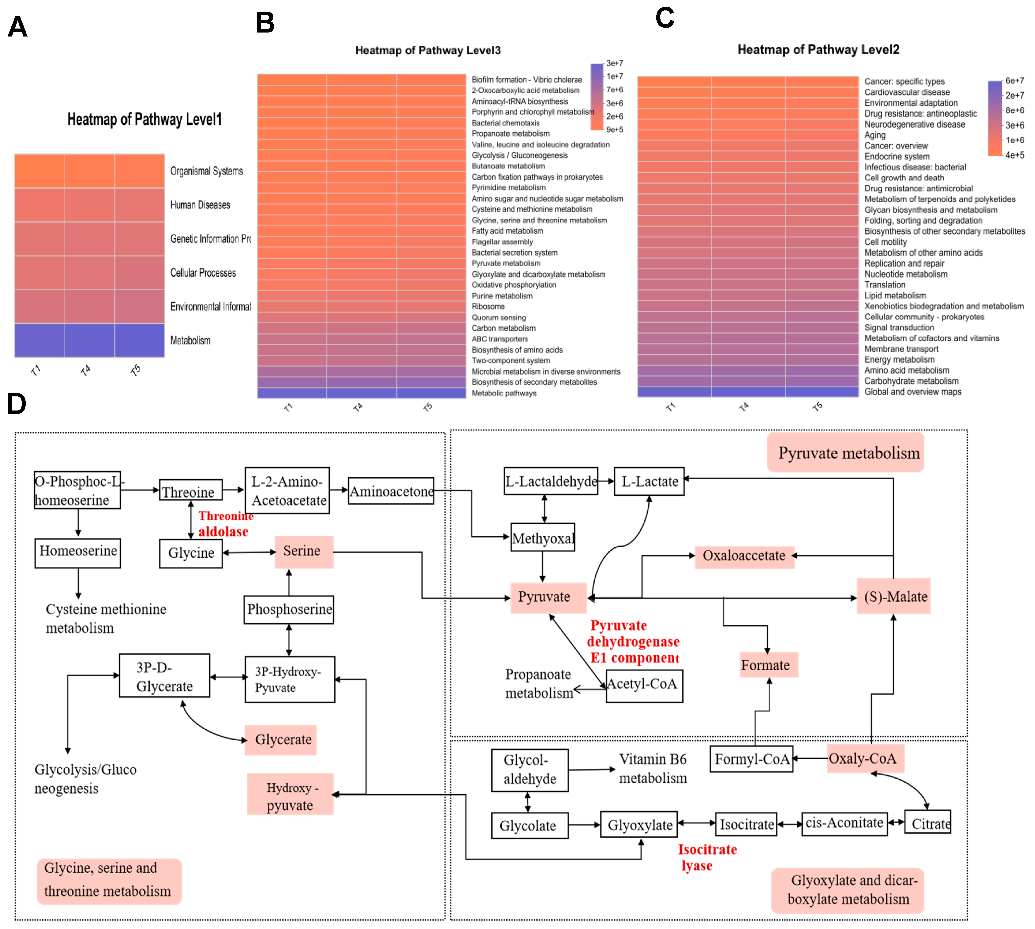 Animals 15 02643 g013