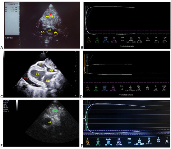 Animals 15 02674 g001