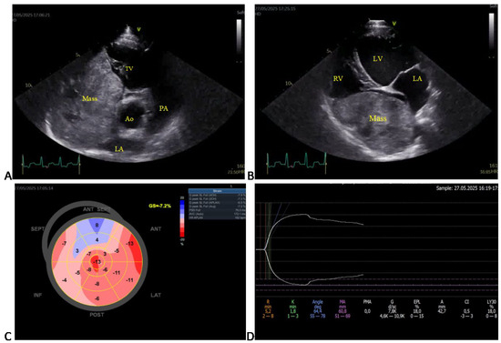 Animals 15 02674 g002