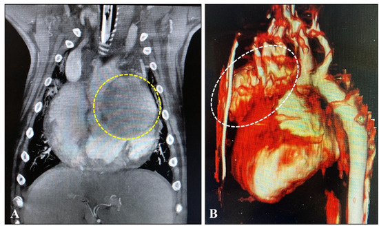 Animals 15 02674 g003