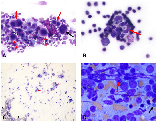 Animals 15 02674 g004