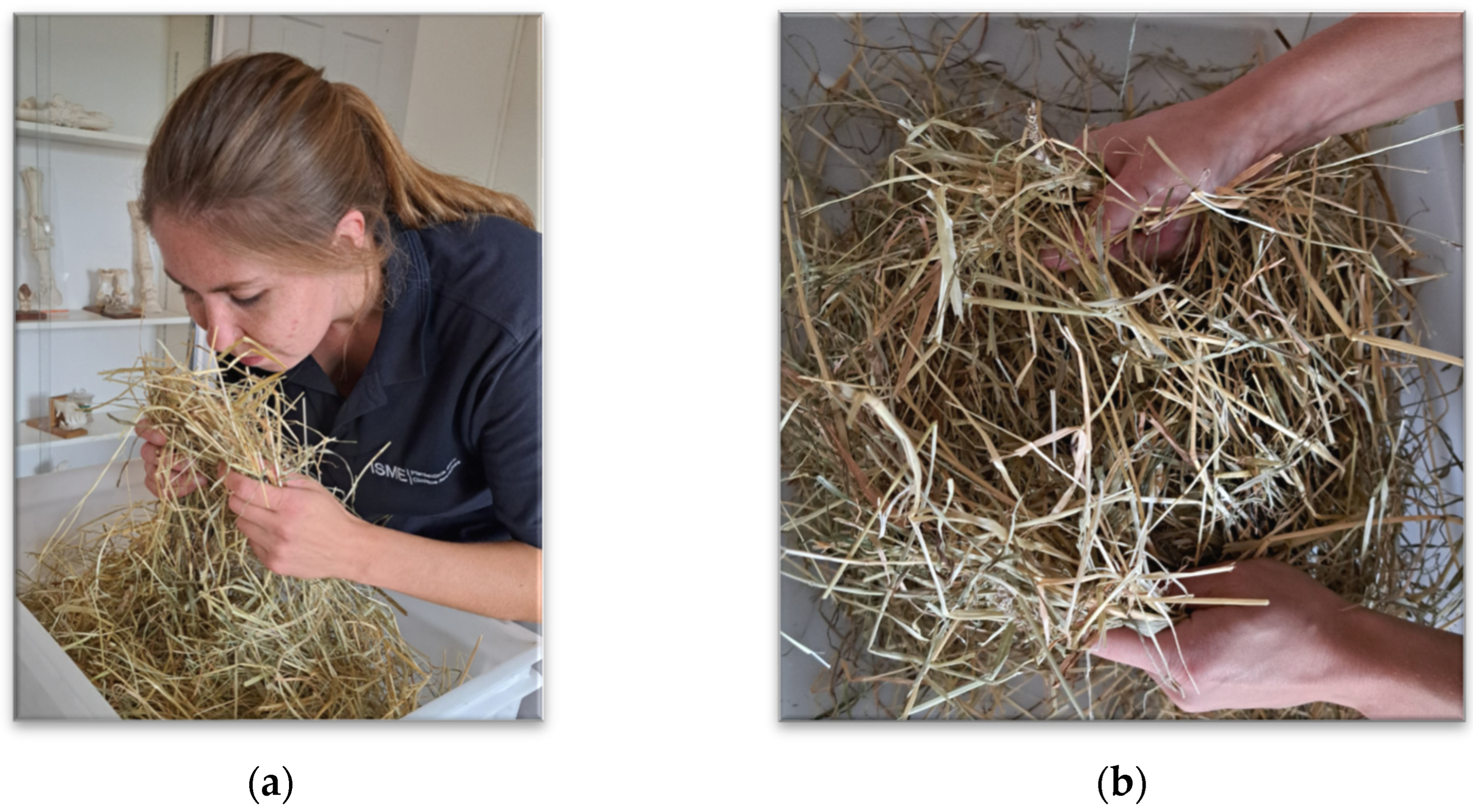 Animals 15 02688 g001