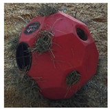 Animals 15 02779 i001