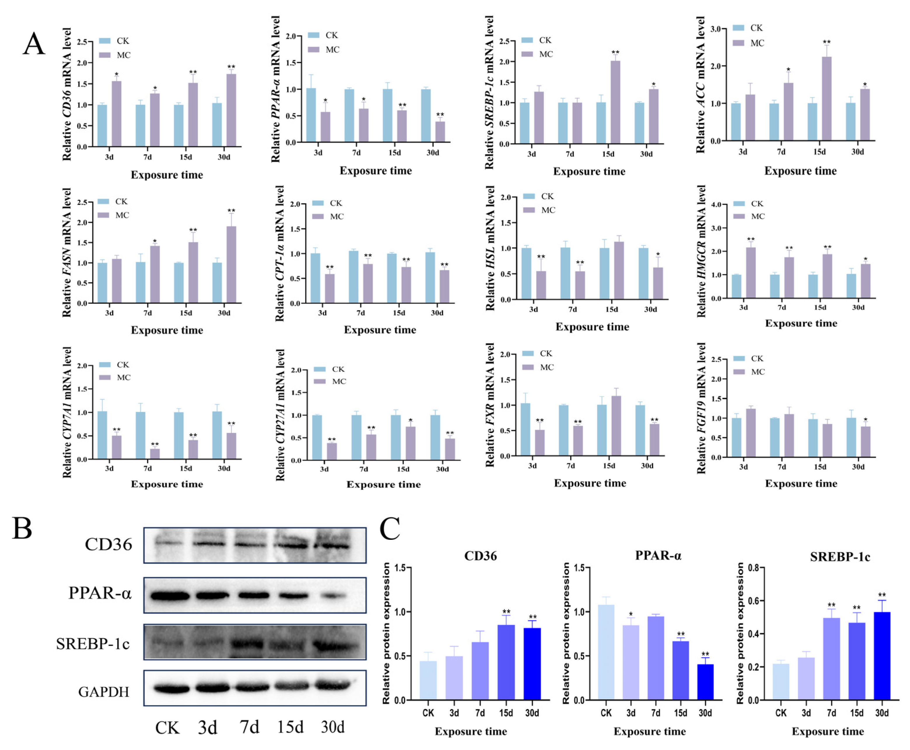 Animals 15 02803 g003