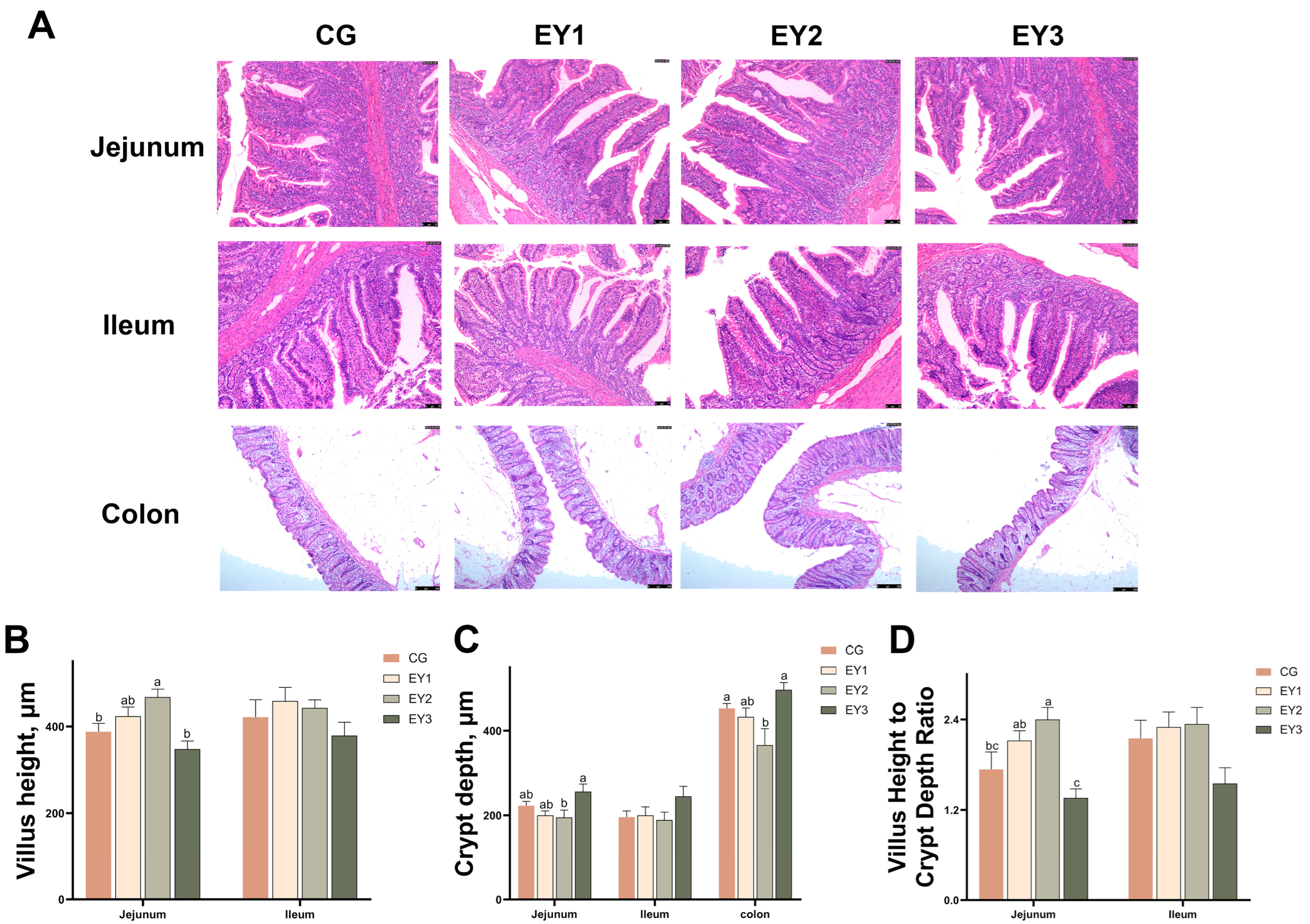 Animals 15 02836 g002 Animals 15 02836 g002
