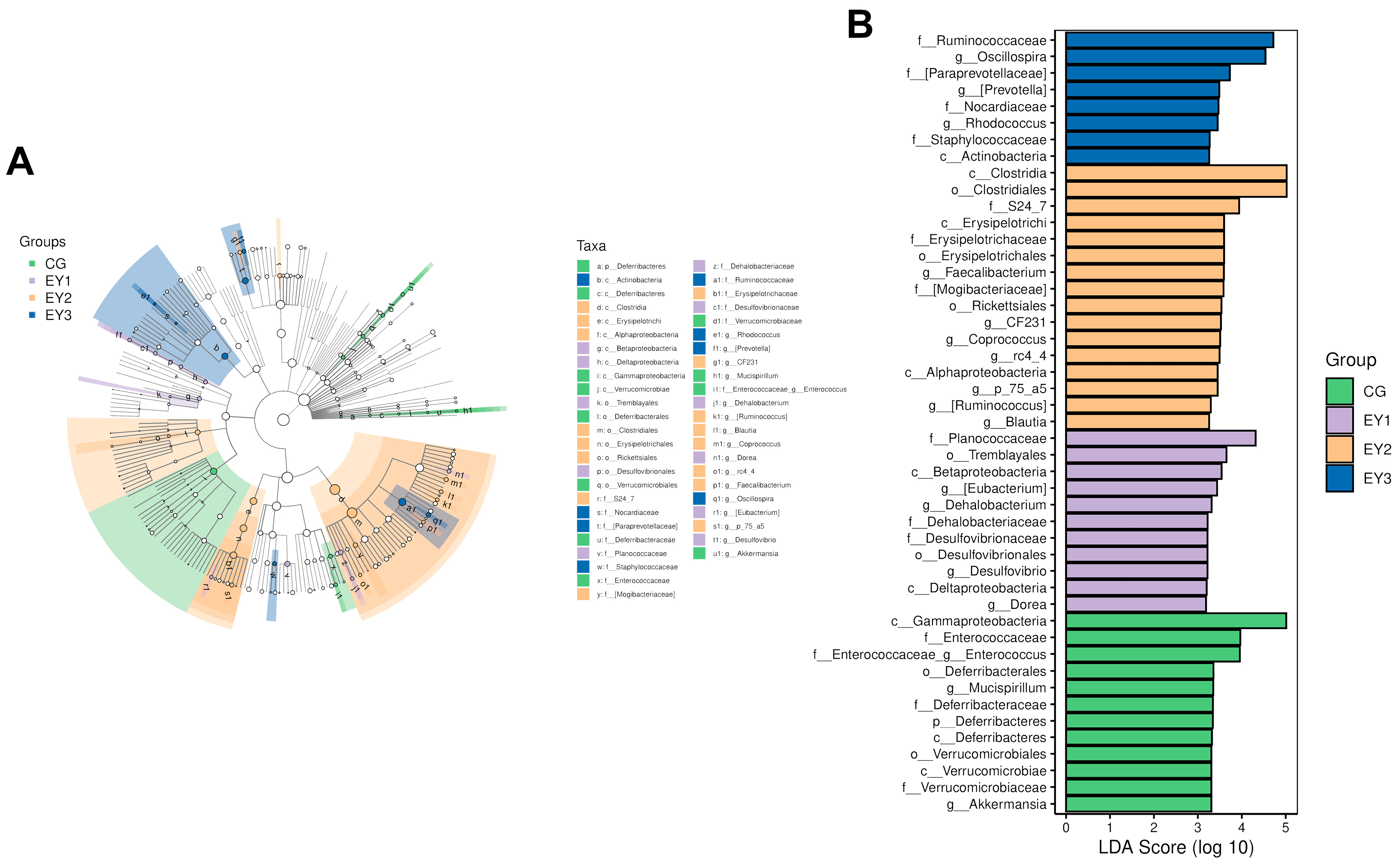 Animals 15 02836 g007 Animals 15 02836 g007