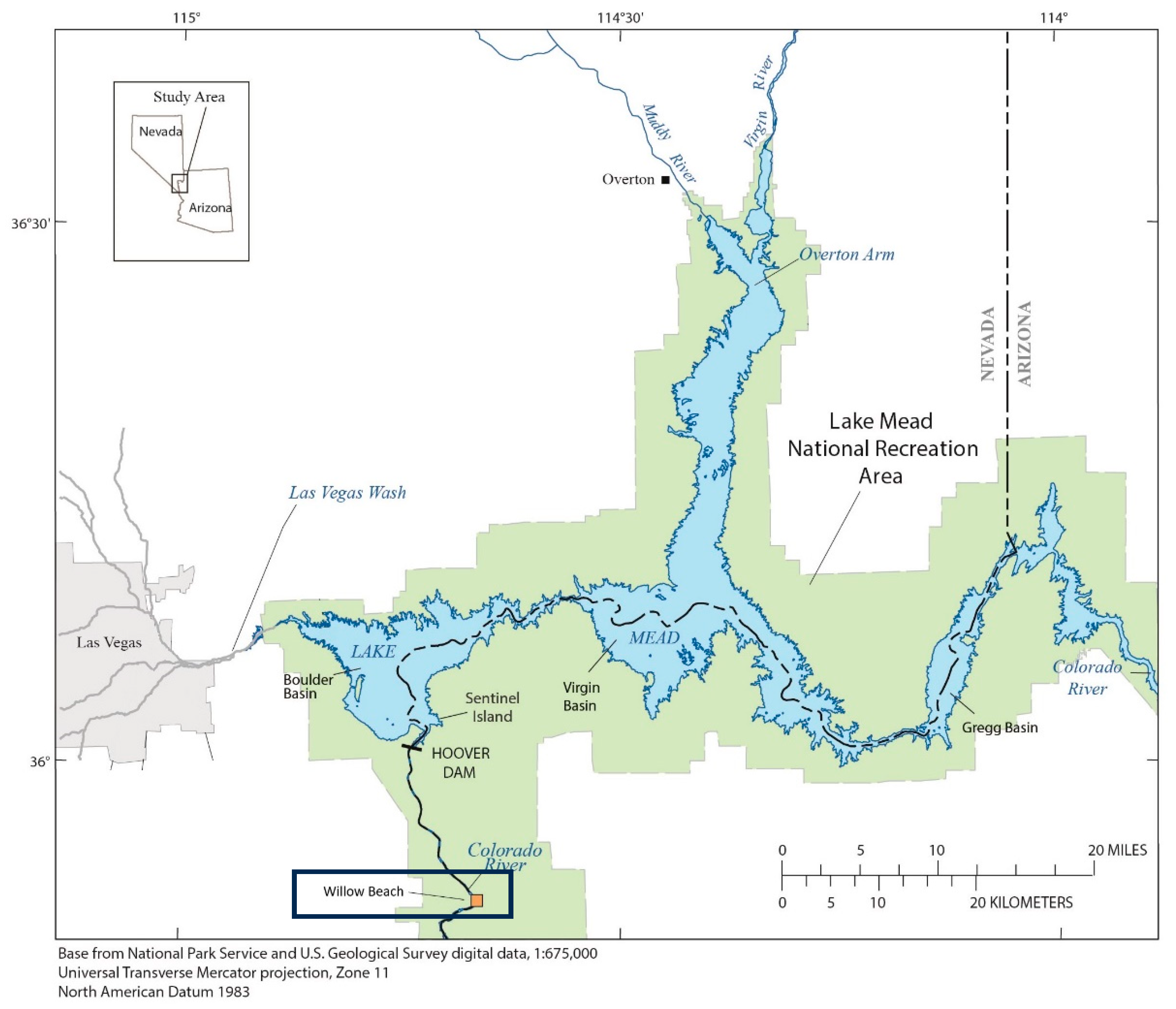 Animals 15 02887 g001 Animals 15 02887 g001