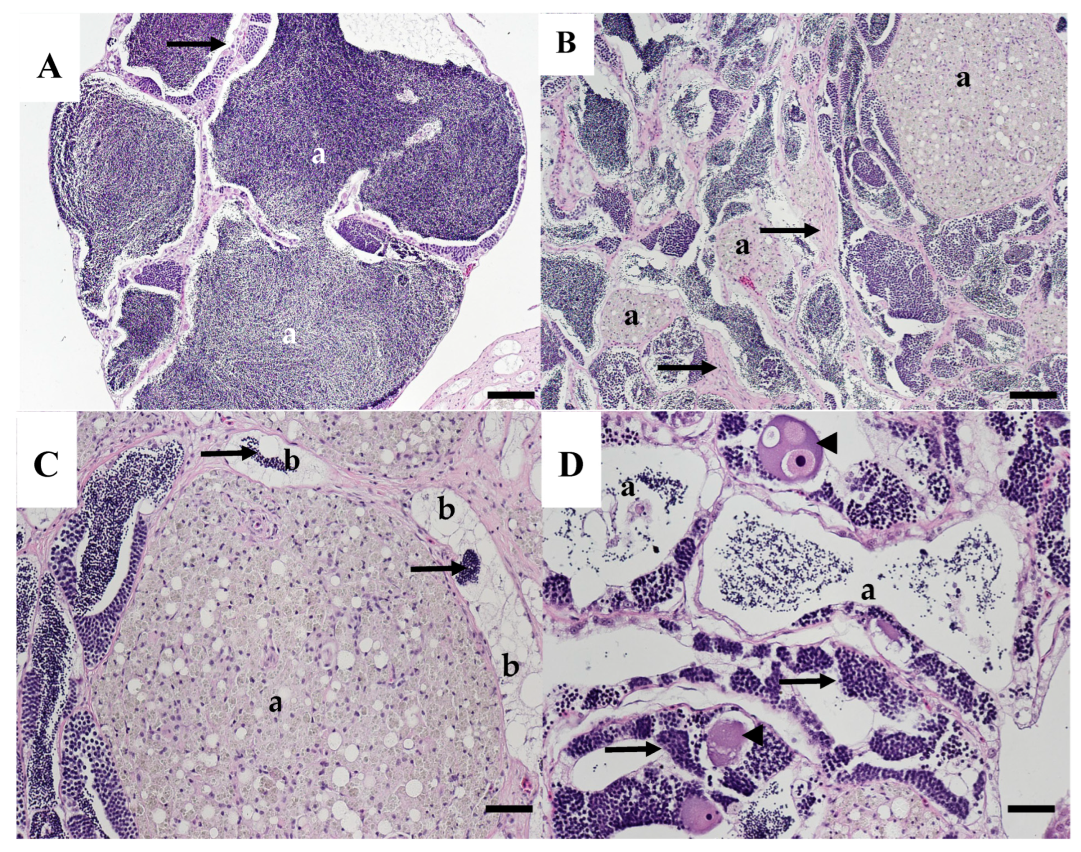 Animals 15 02887 g005 Animals 15 02887 g005