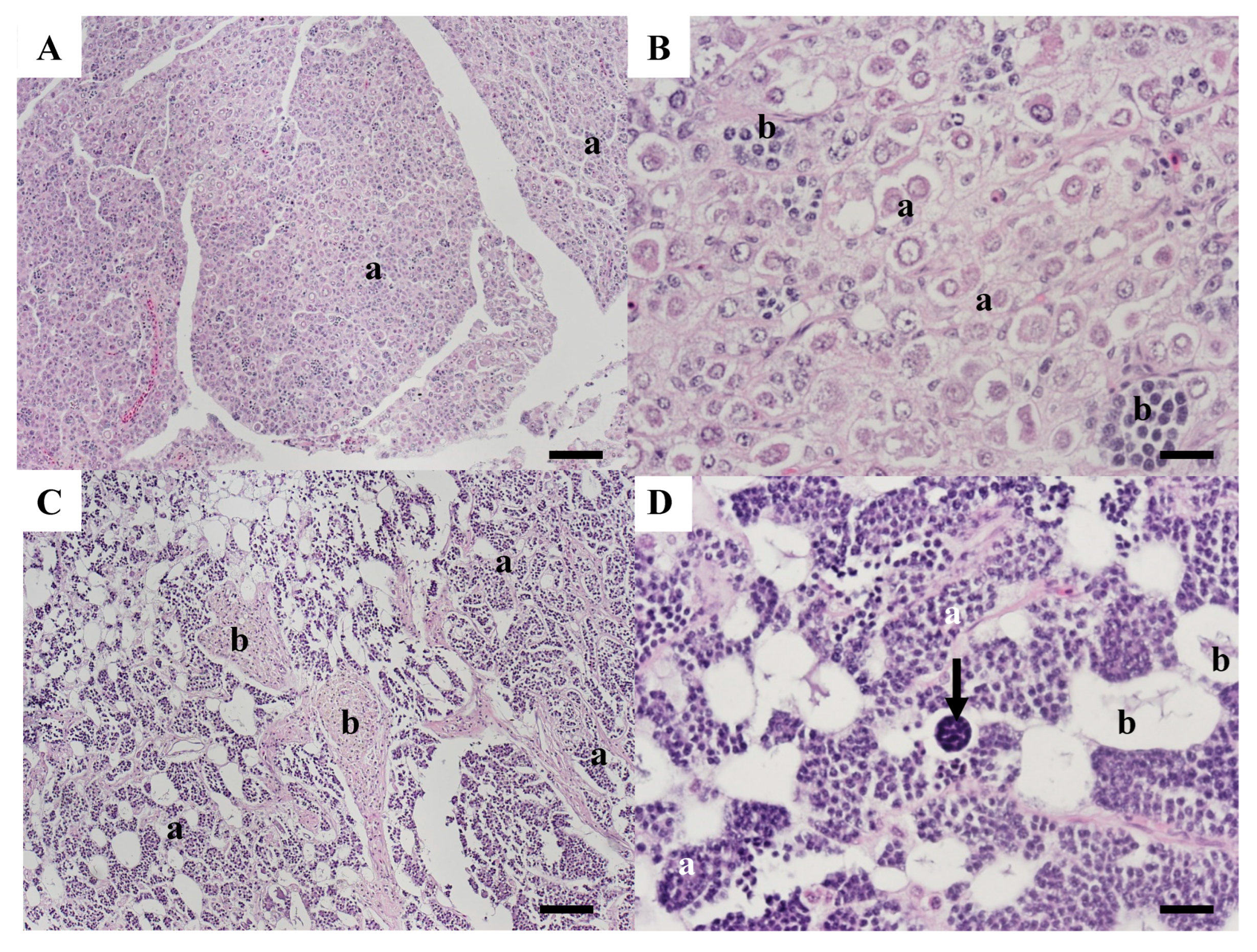 Animals 15 02887 g007 Animals 15 02887 g007