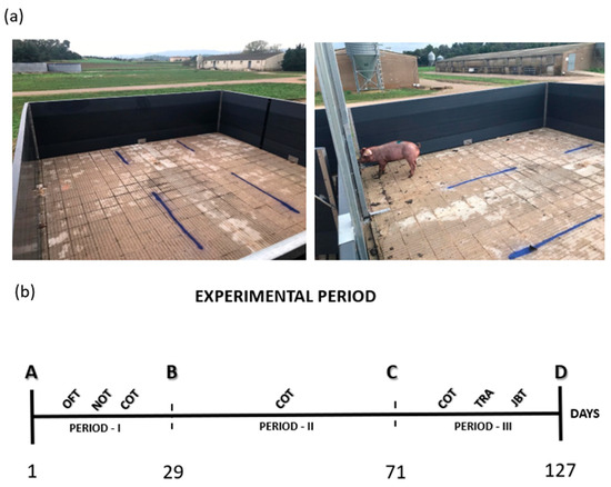 Animals 15 02893 g0a2