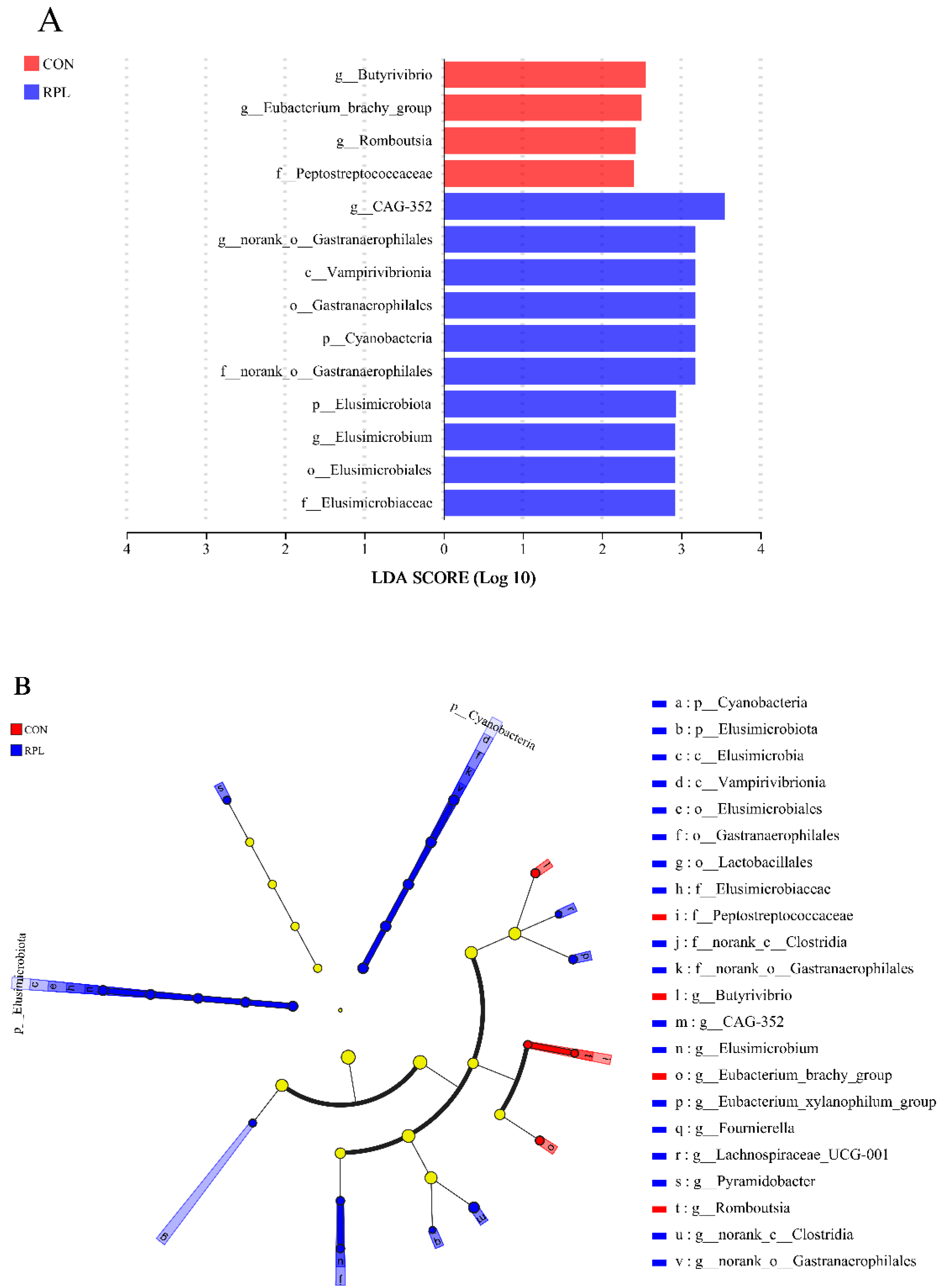 Animals 15 02901 g004