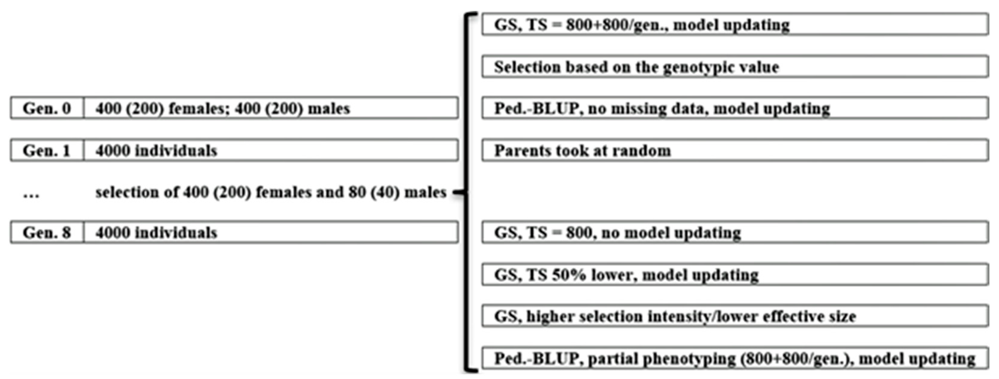 Animals 15 02925 g001