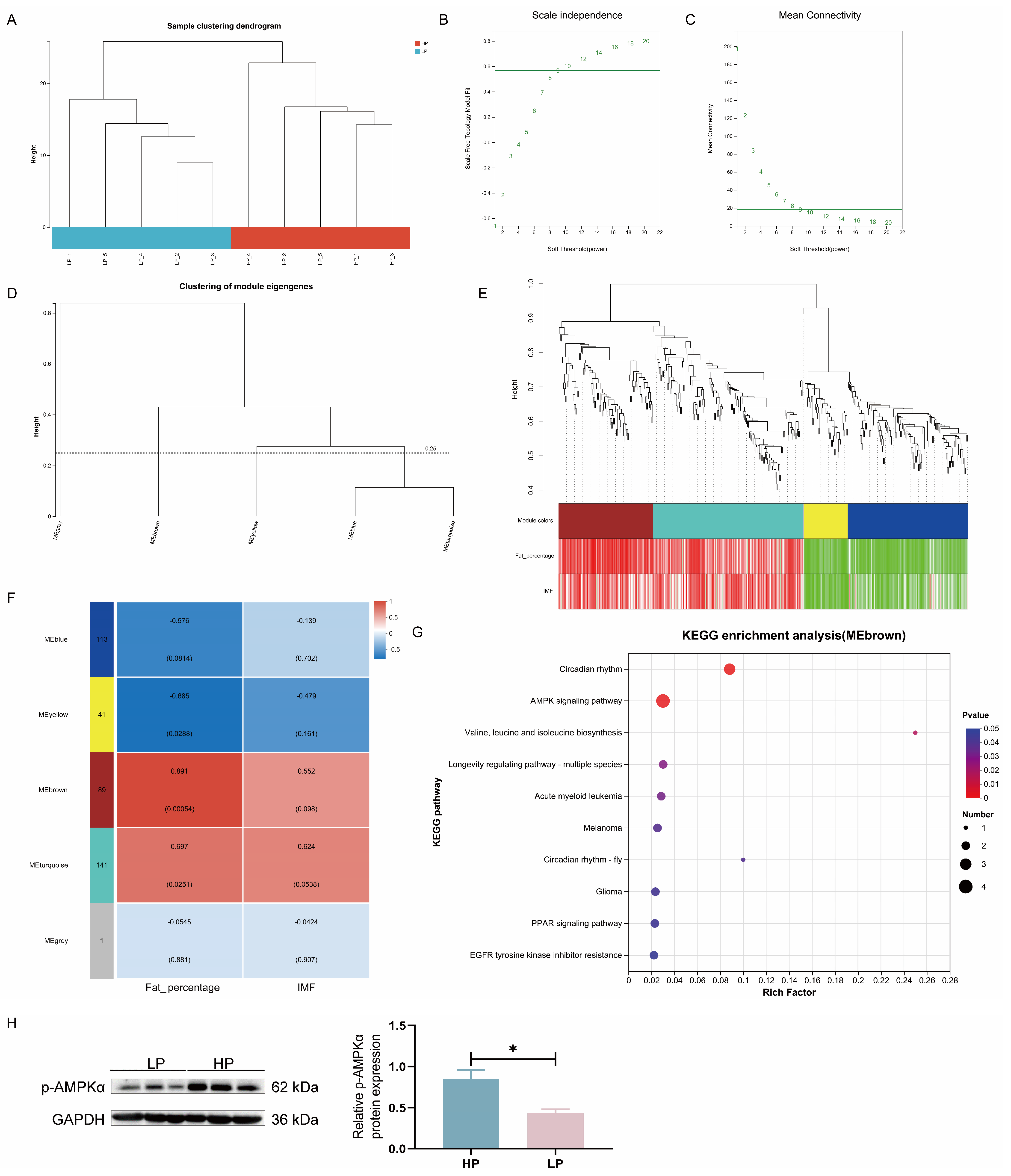 Animals 15 02950 g004