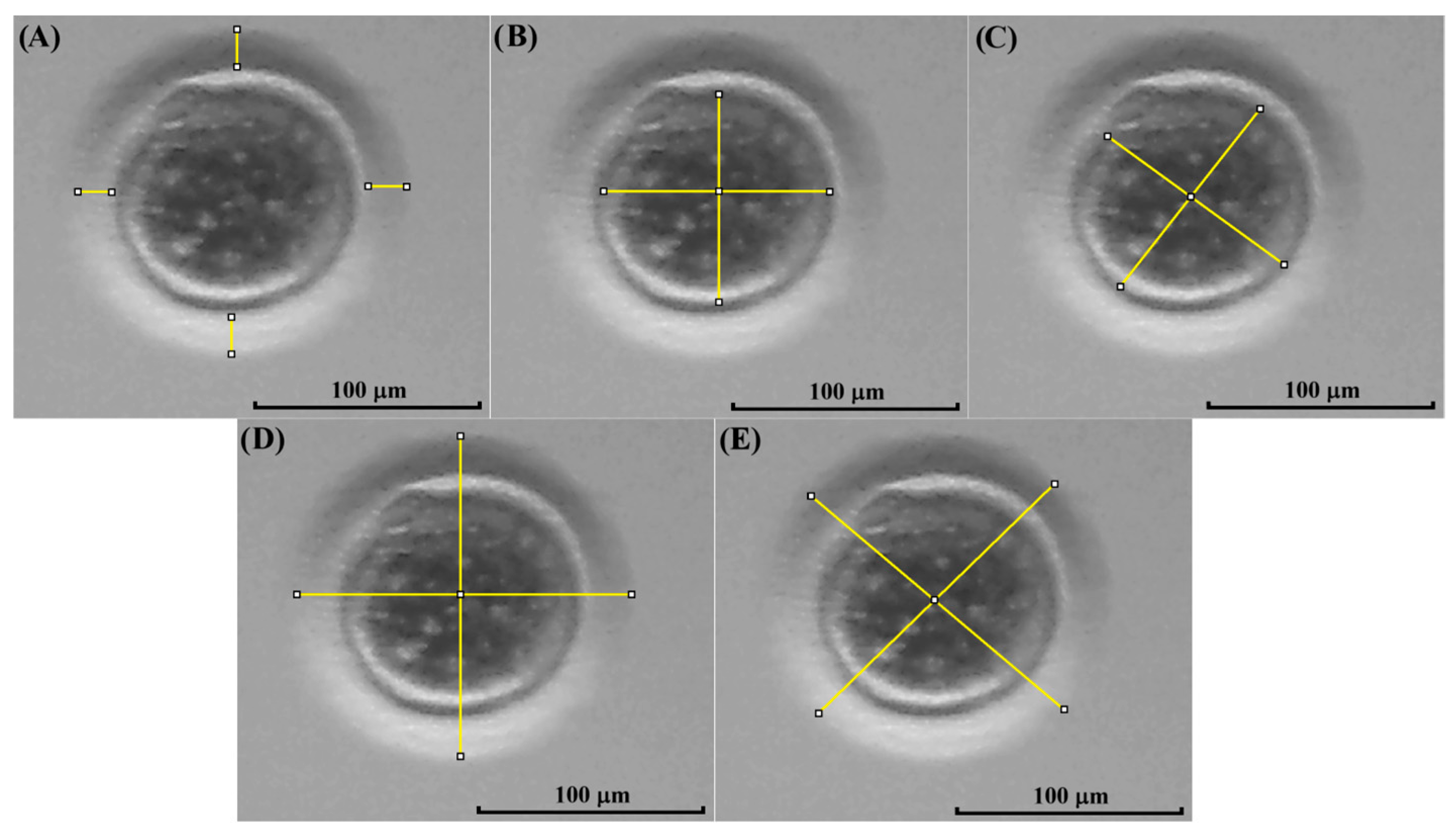 Animals 15 03031 g003