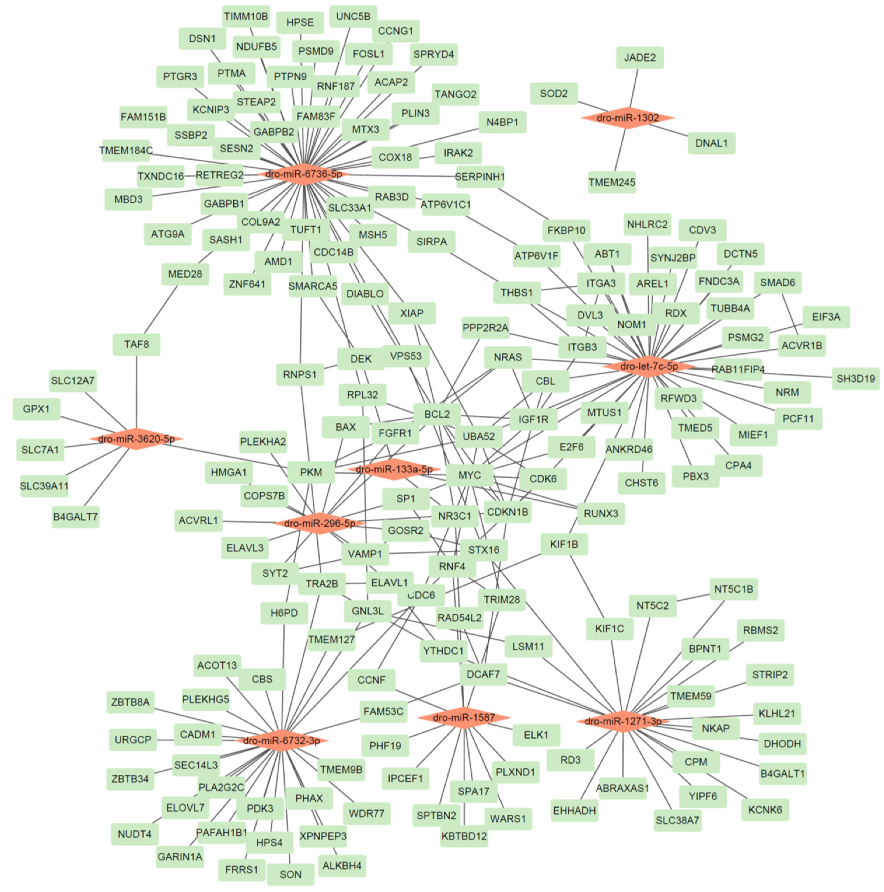 Animals 15 03063 g002