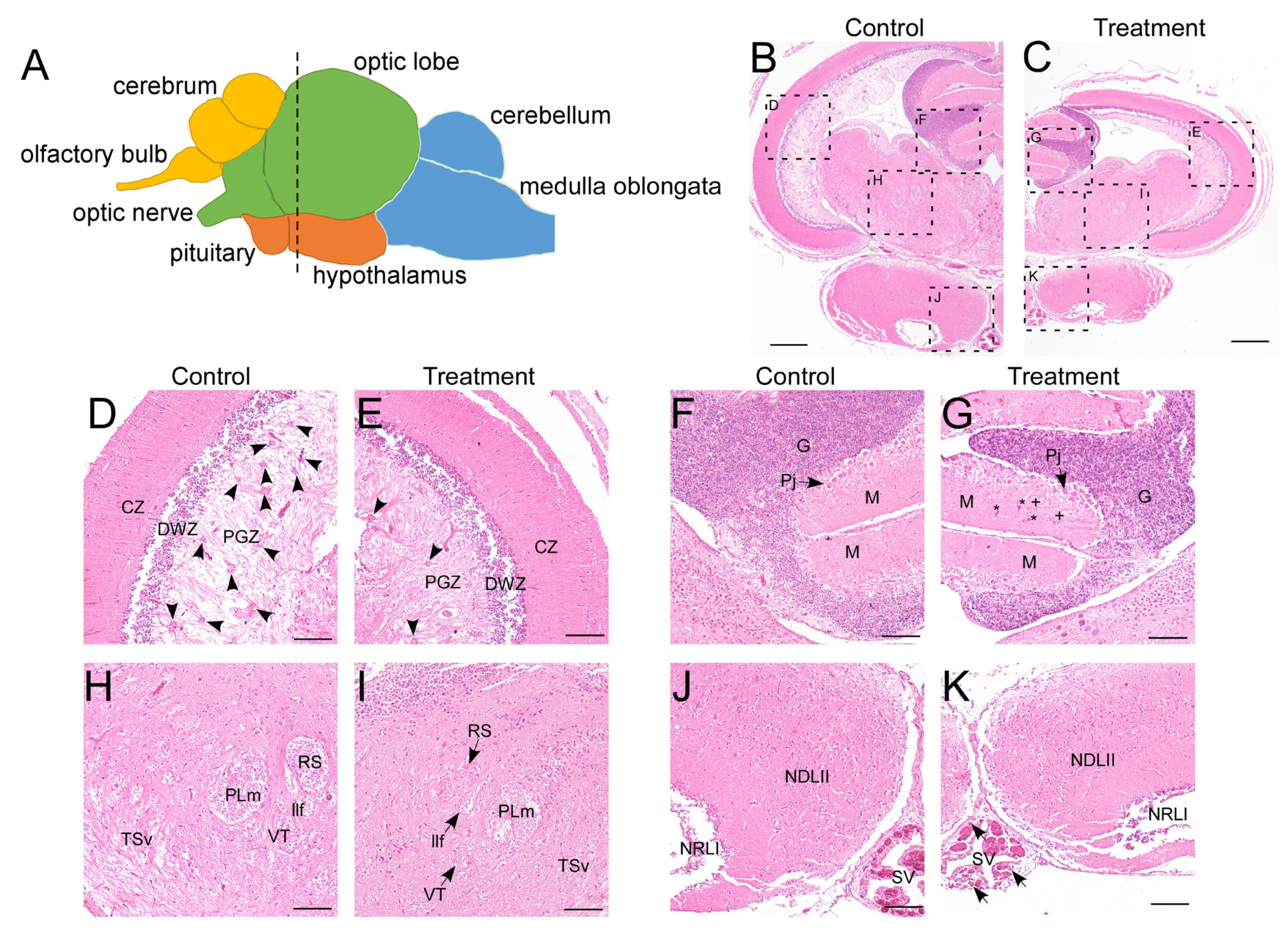 Animals 15 03067 g001
