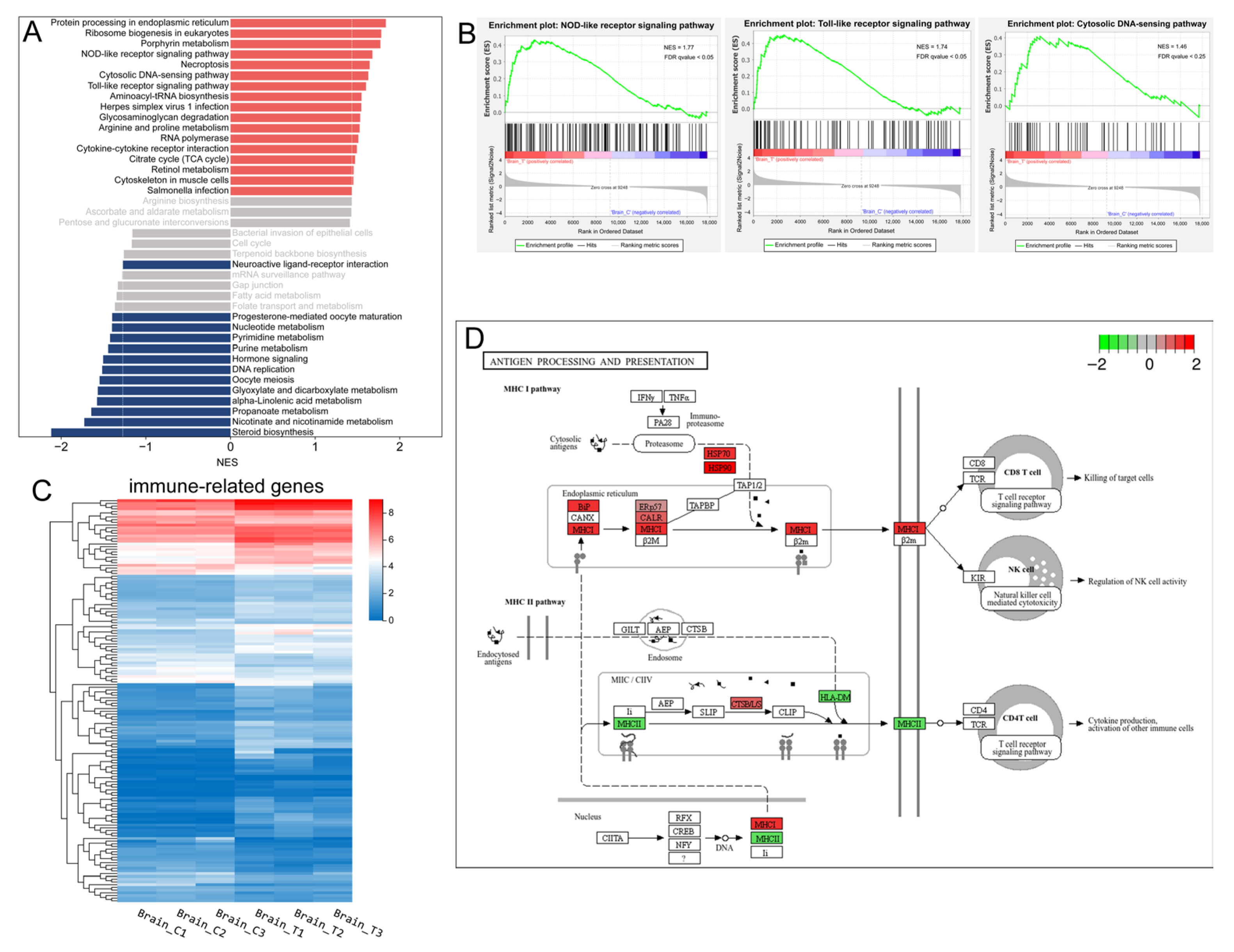 Animals 15 03067 g004