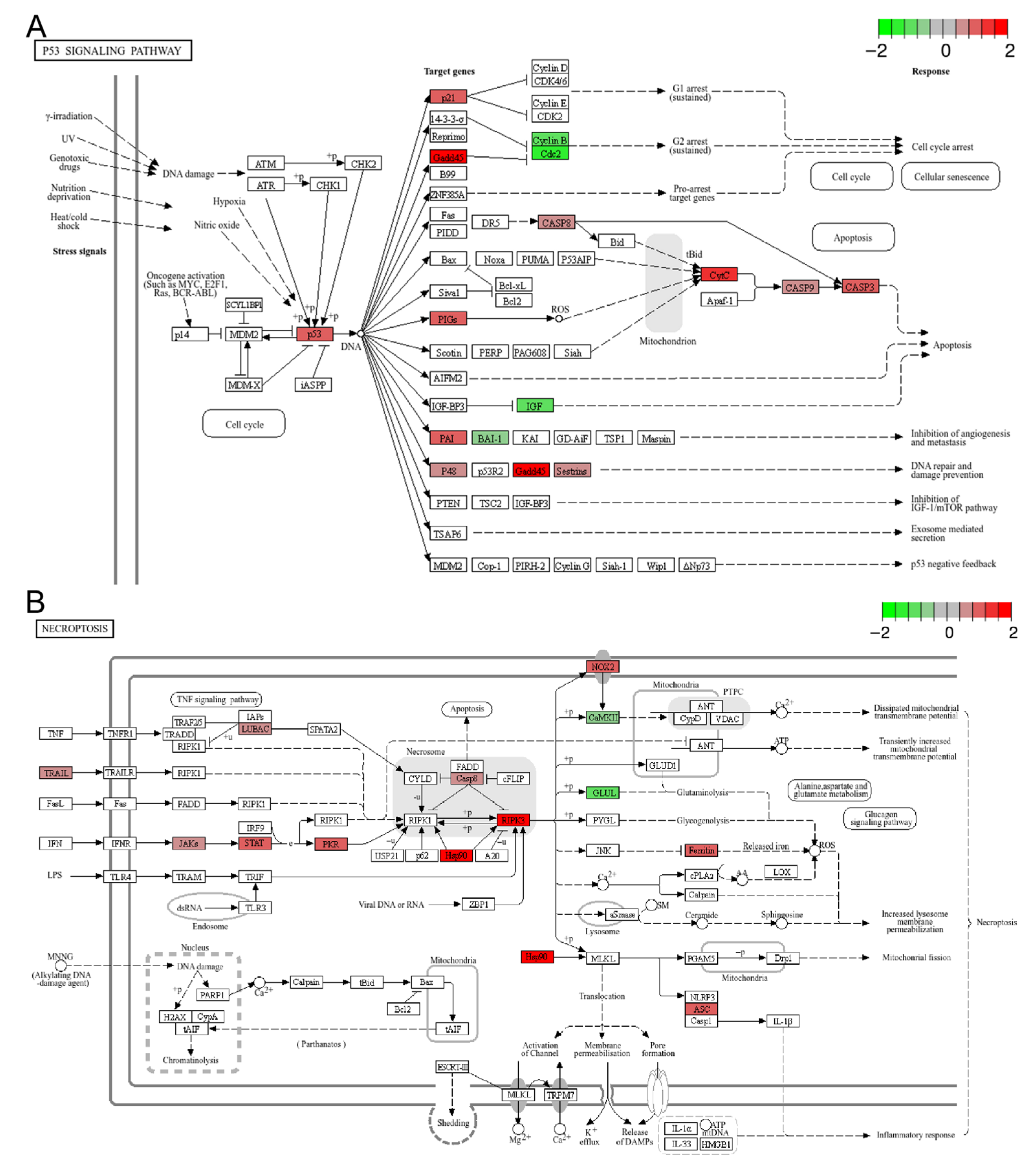 Animals 15 03067 g005